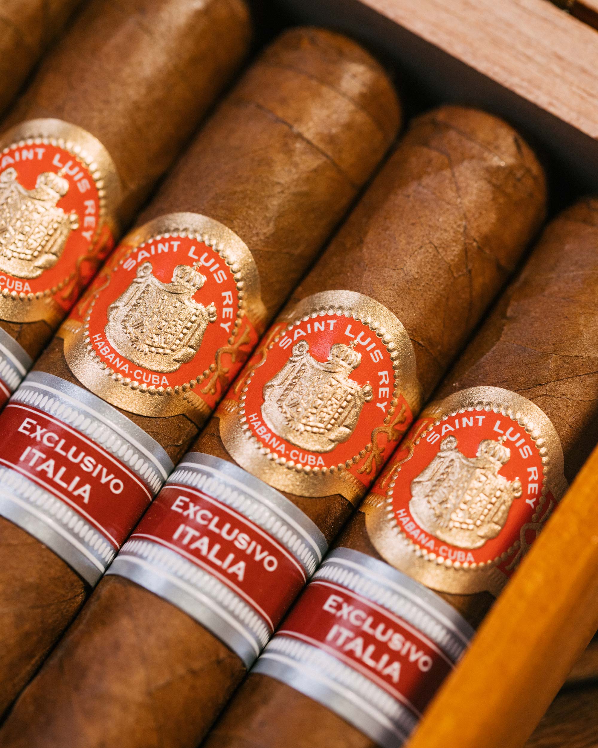 Cigars - Saint Luis Rey La Cuna Edición Regional Italia 2024