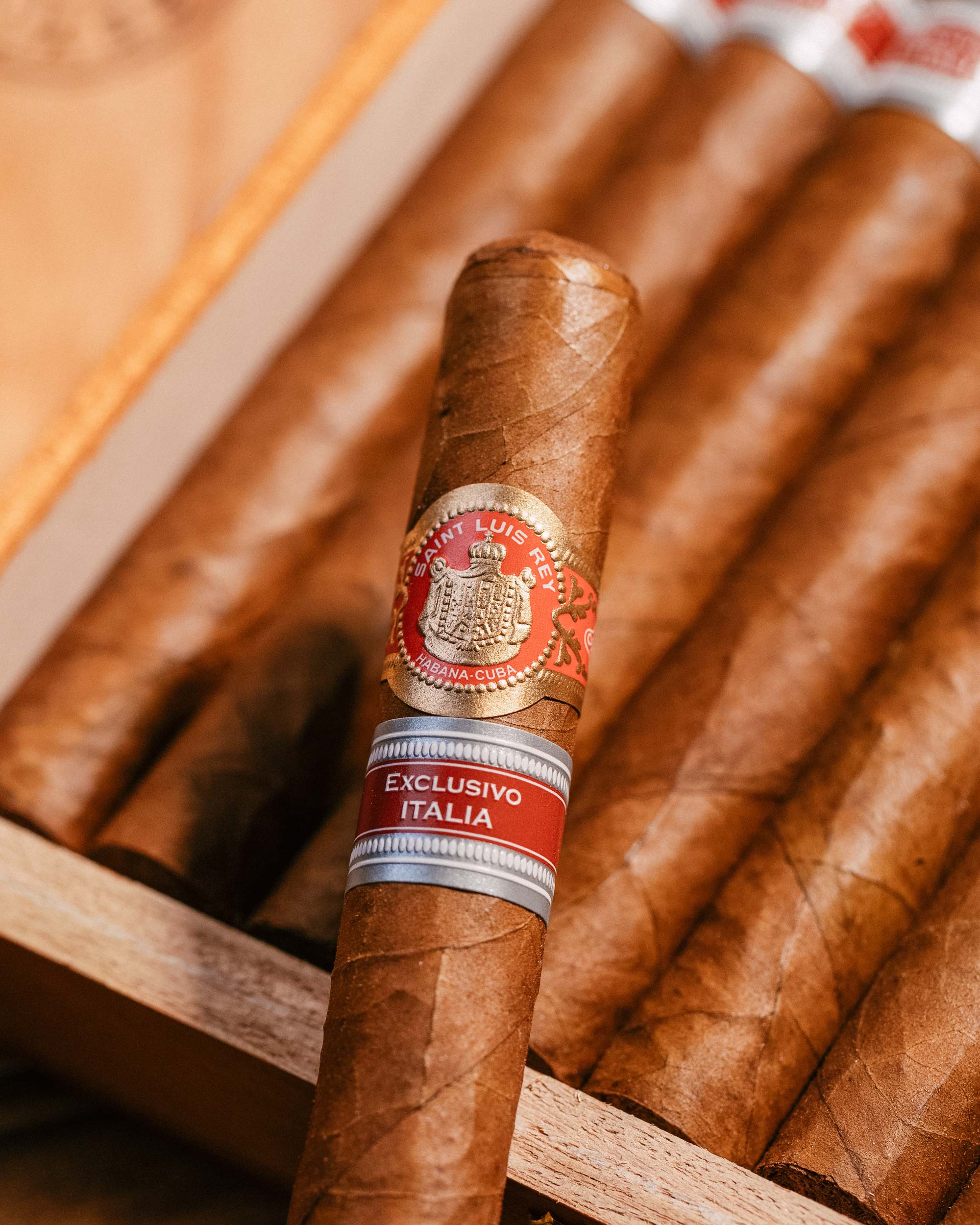 Cigars - Saint Luis Rey La Cuna Edición Regional Italia 2024