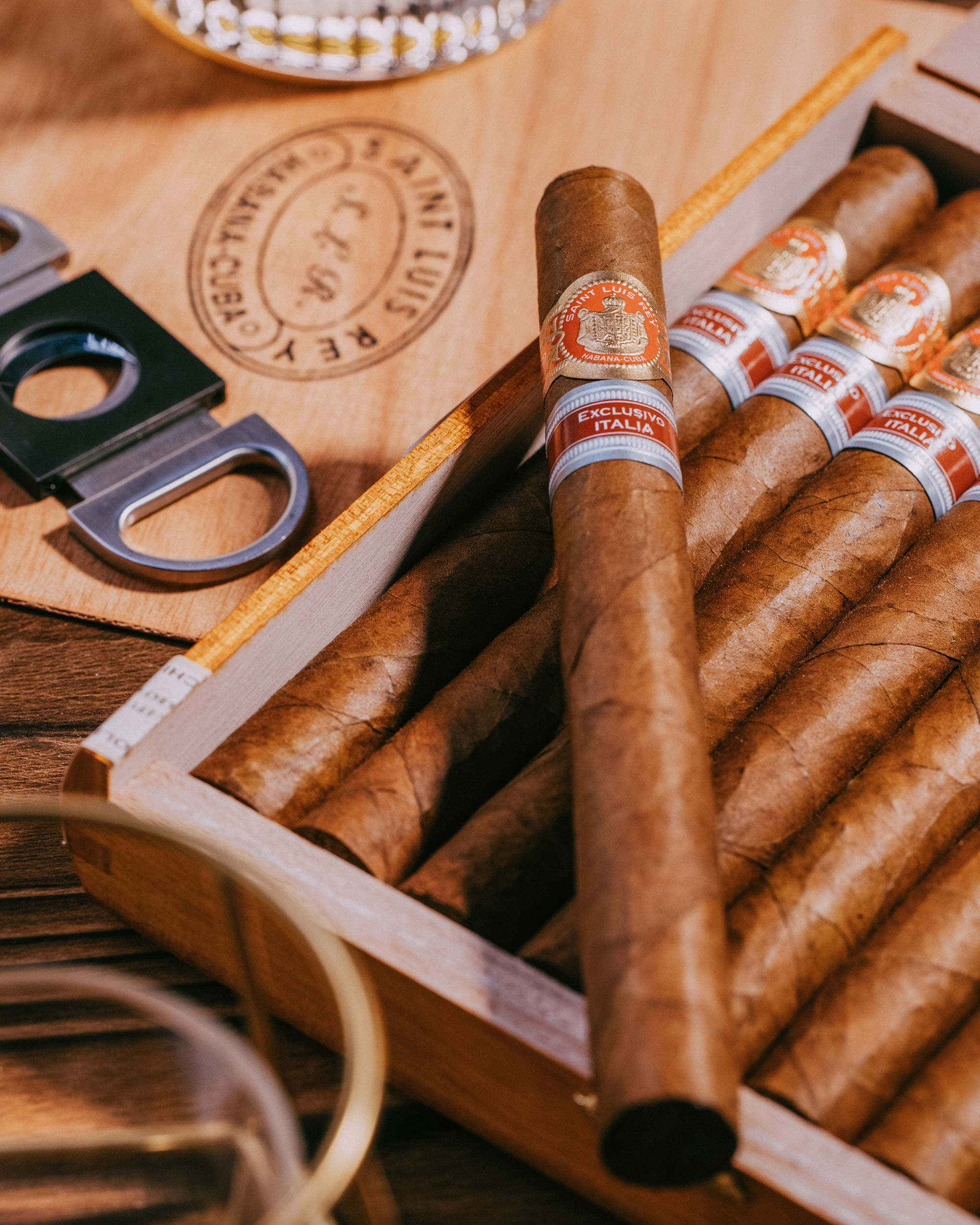 Cigars - Saint Luis Rey La Cuna Edición Regional Italia 2024