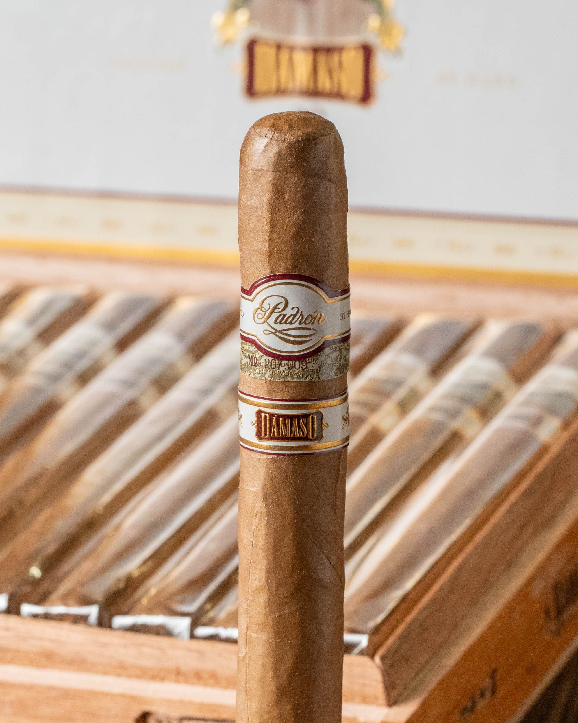 Padrón Dámaso No. 17 - Churchill - nextCIGAR