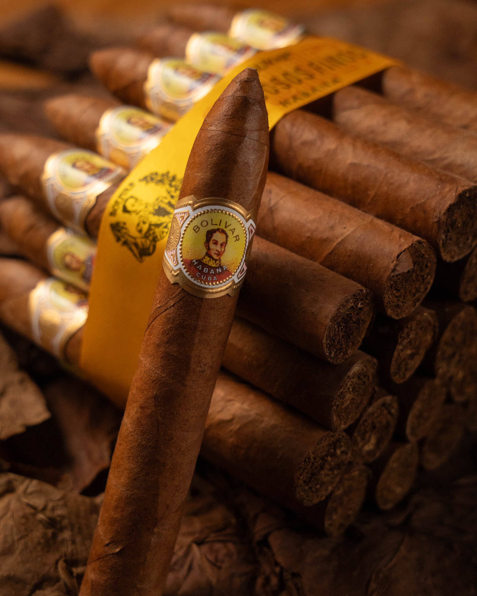 Cigars - Bolívar Belicoso Finos