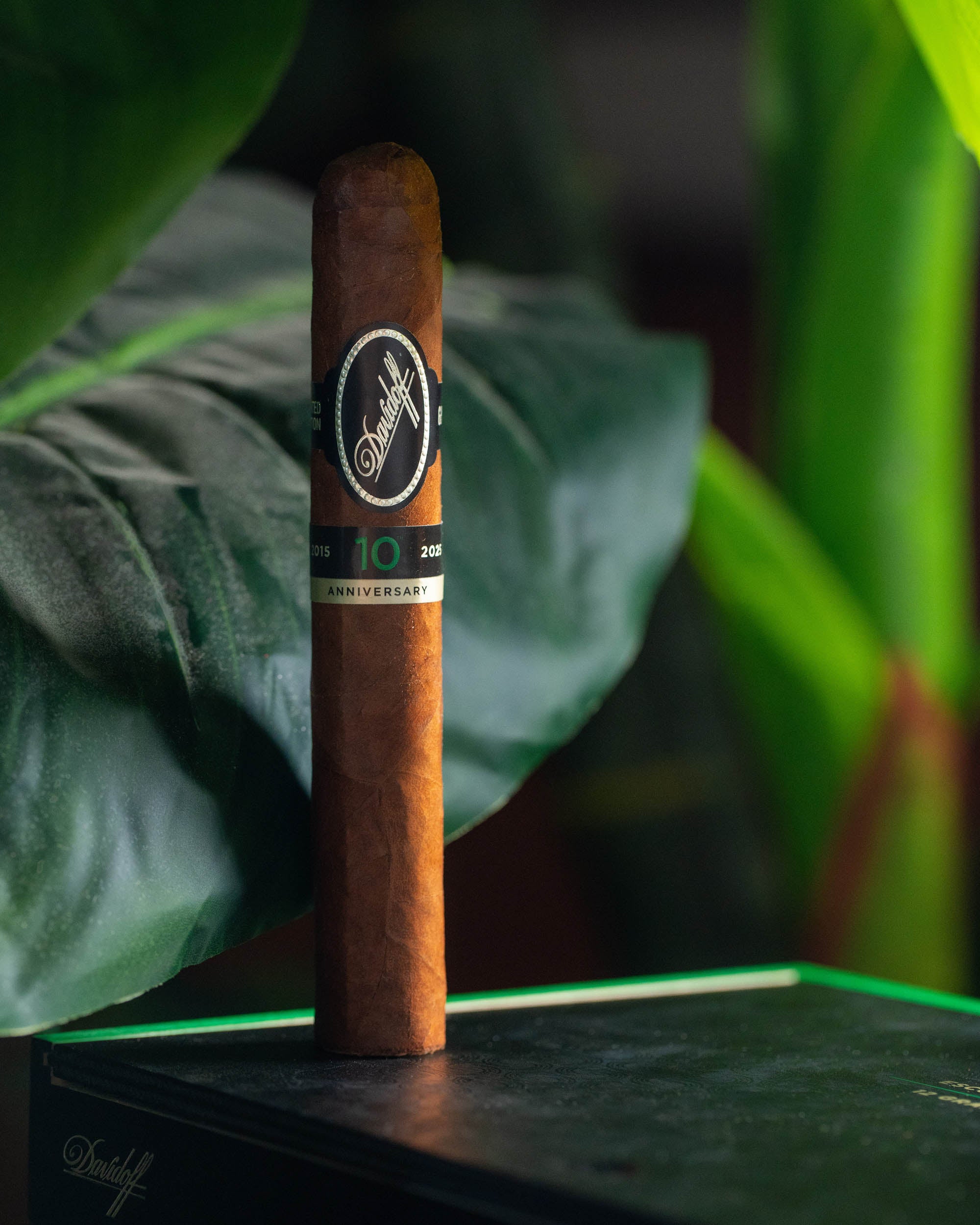 Davidoff Escurio 10th Anniversary Limited Edition - nextCIGAR