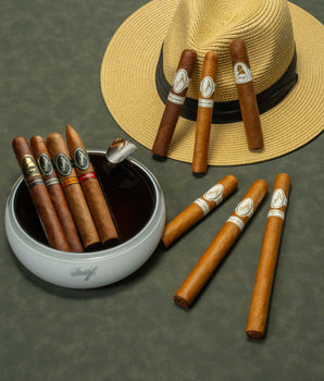 The Ultimate Davidoff Journey Bundle