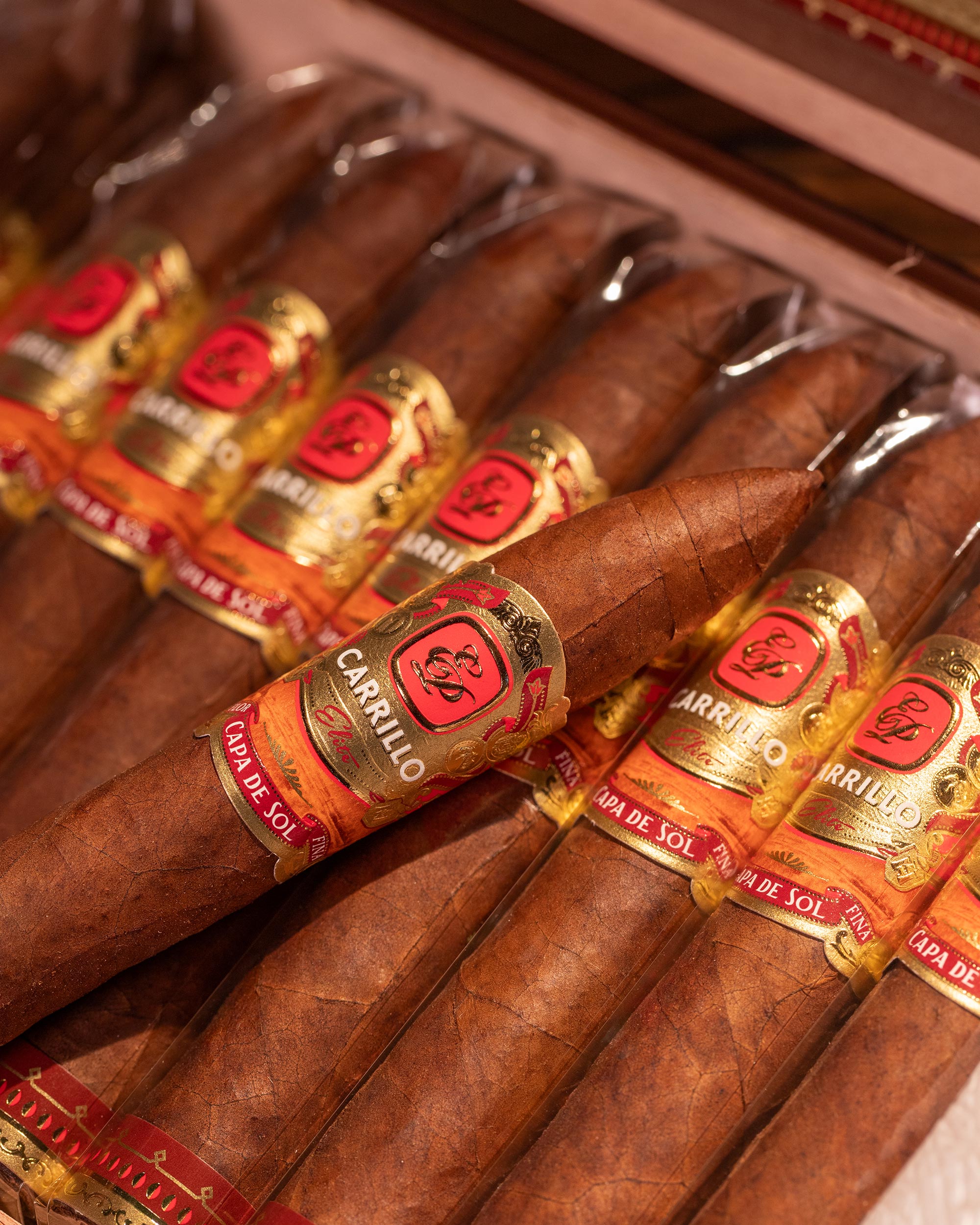 Cigars - E.P. Carrillo Capa De Sol Piramides No. 5