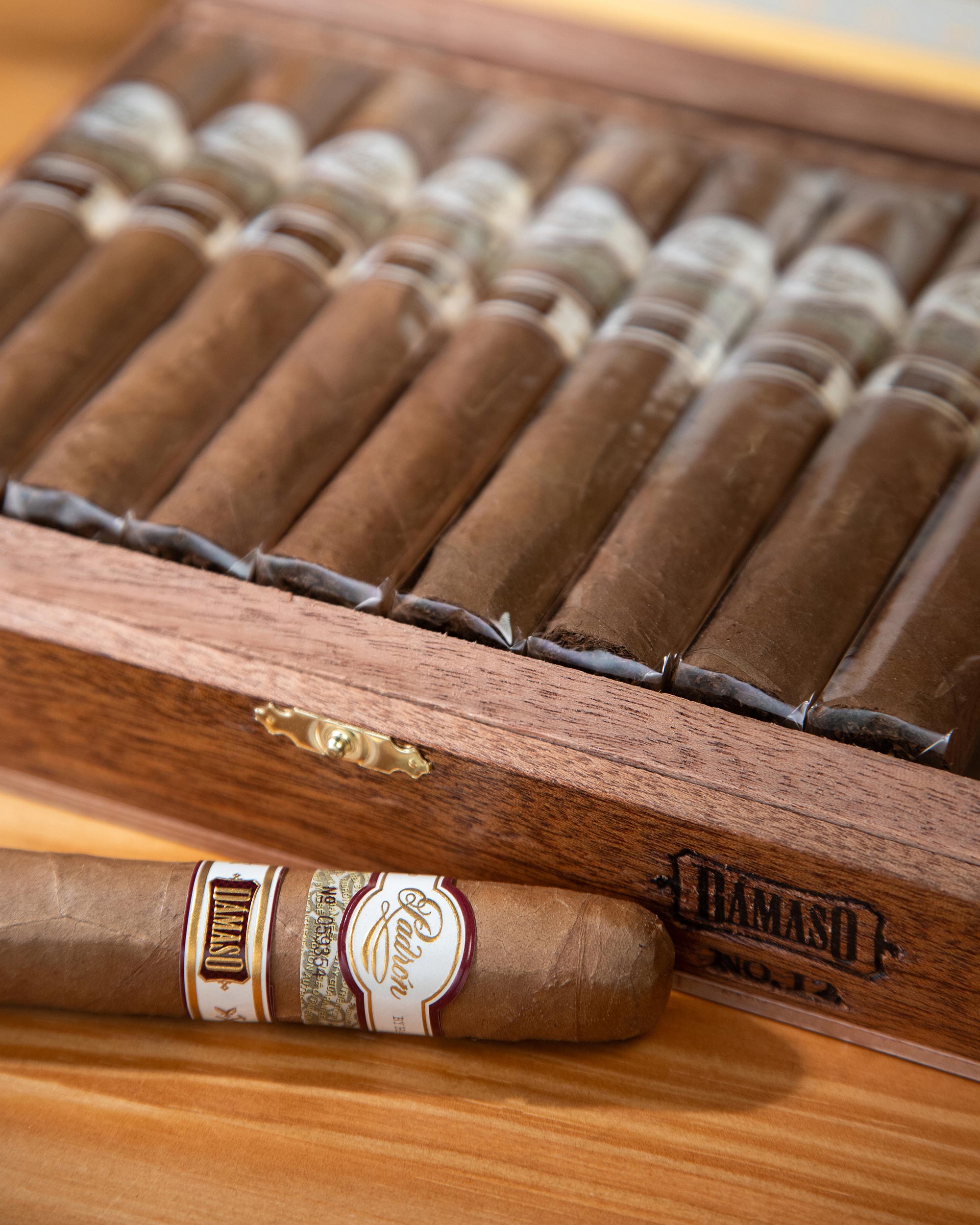 Close-up of cigars in a wooden Humidor with visible brand name.