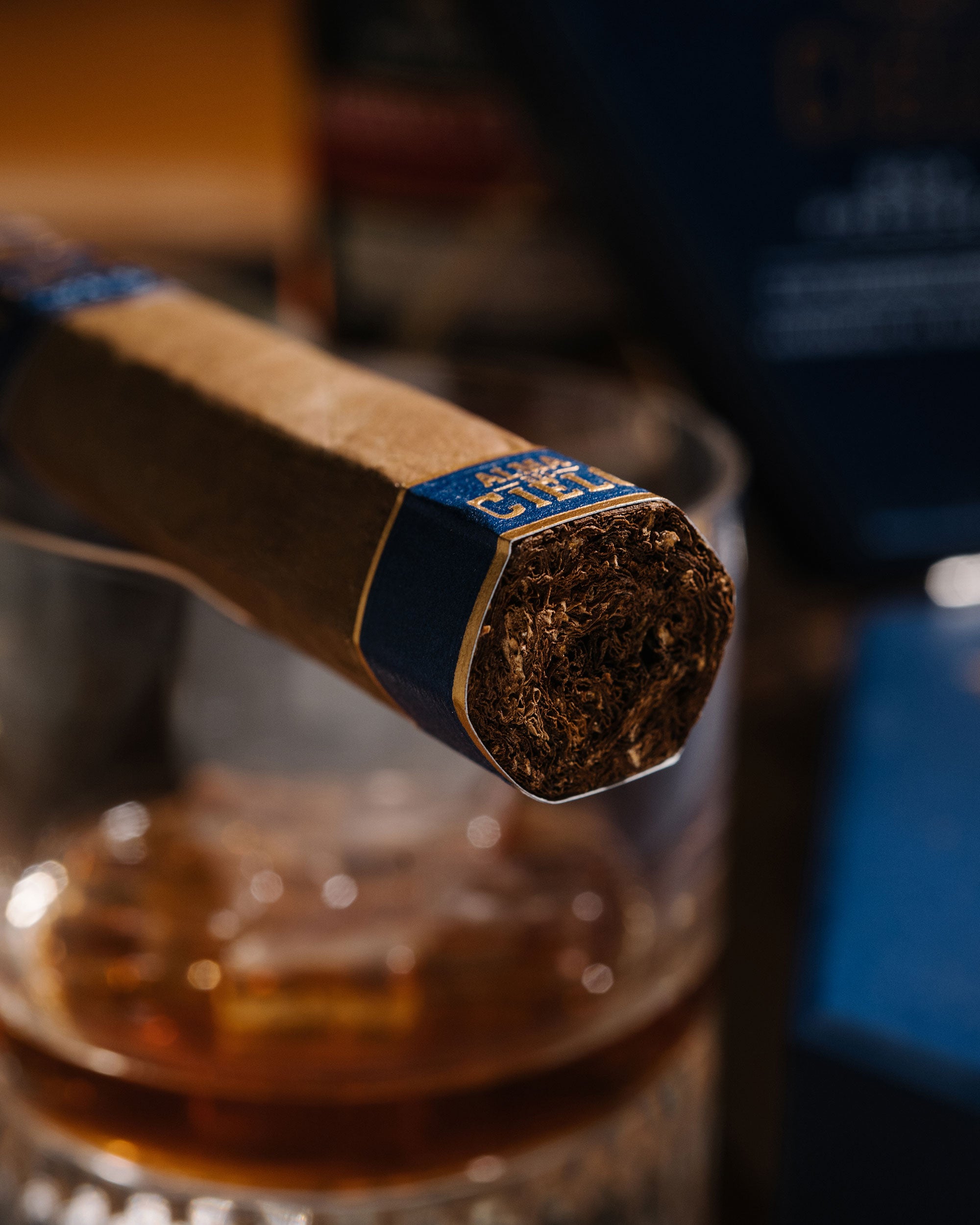 Close-up of a cigar with a blurred background