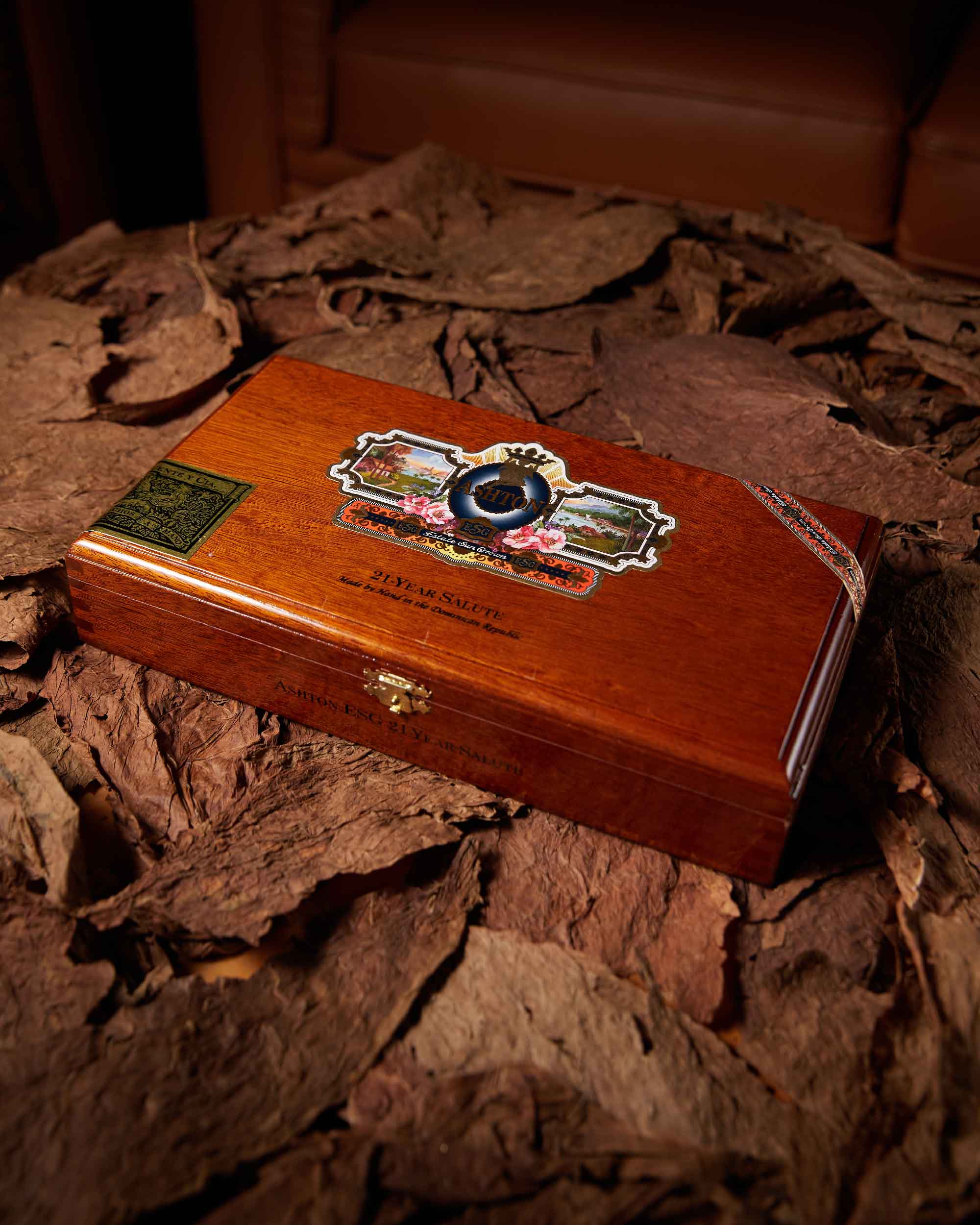 Ashton ESG 21 Year Salute