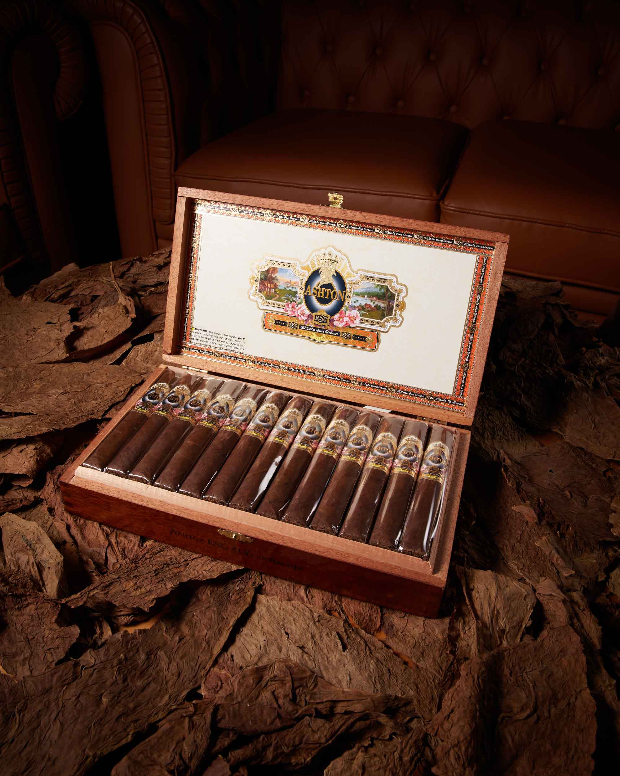 Ashton ESG 21 Year Salute