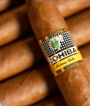 Cohiba Piramides Extra (2019 Vintage) - nextCIGAR