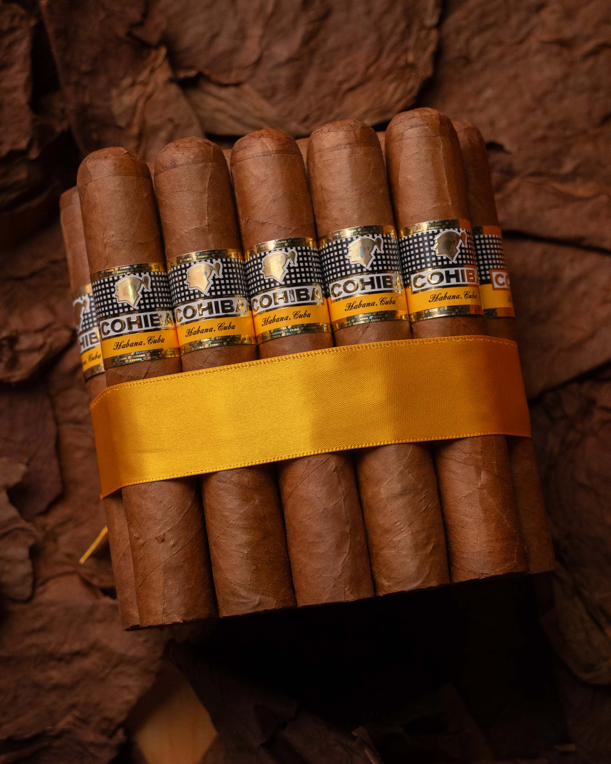 Cohiba Robustos (2019 Vintage) - nextCIGAR
