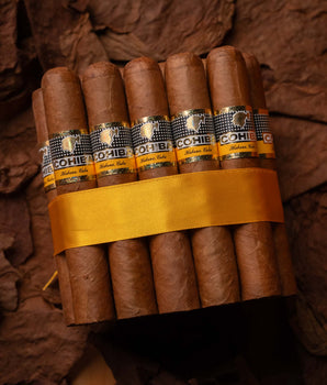 Cohiba Robustos (2019 Vintage) - nextCIGAR