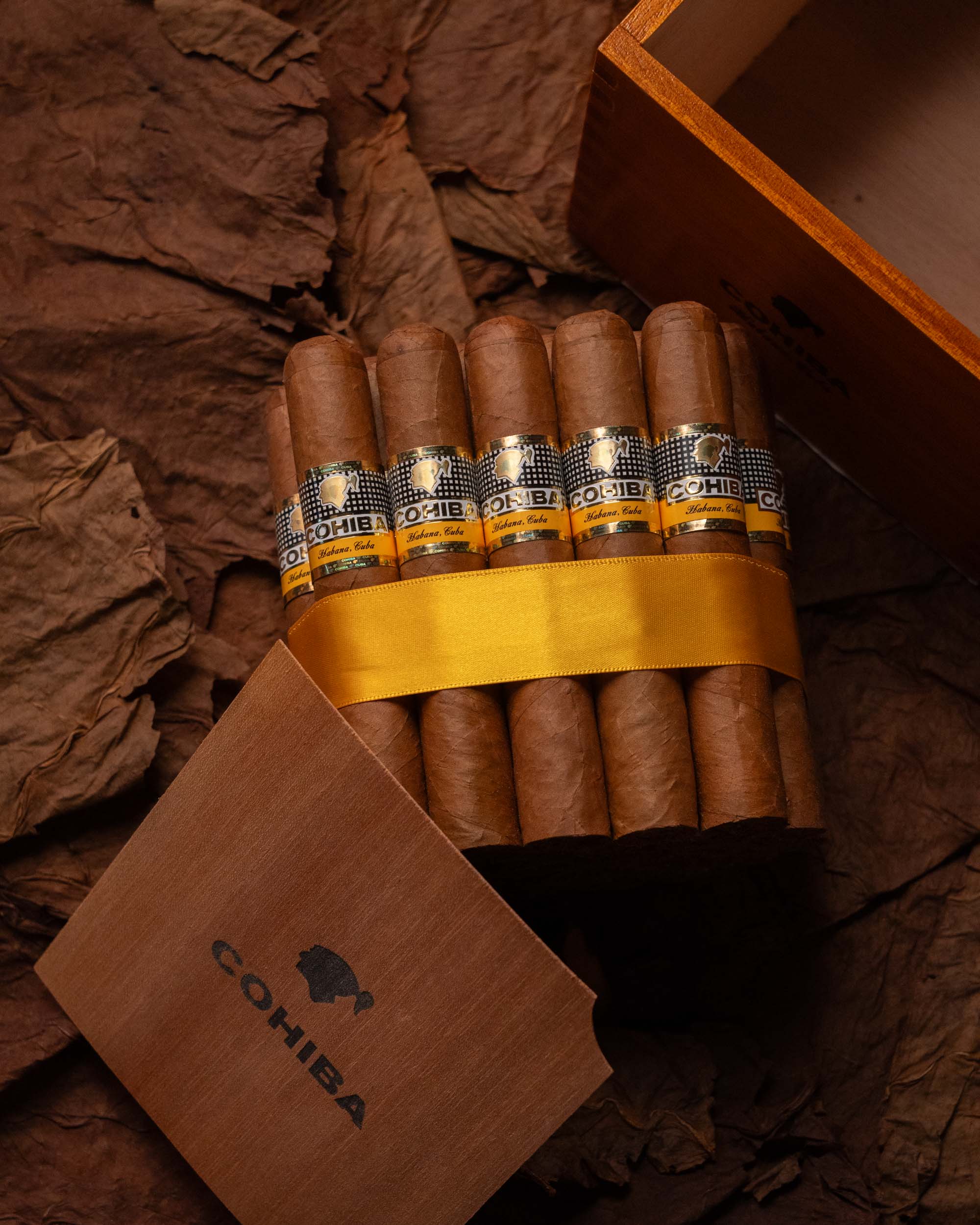 Cohiba Robustos (2019 Vintage) - nextCIGAR