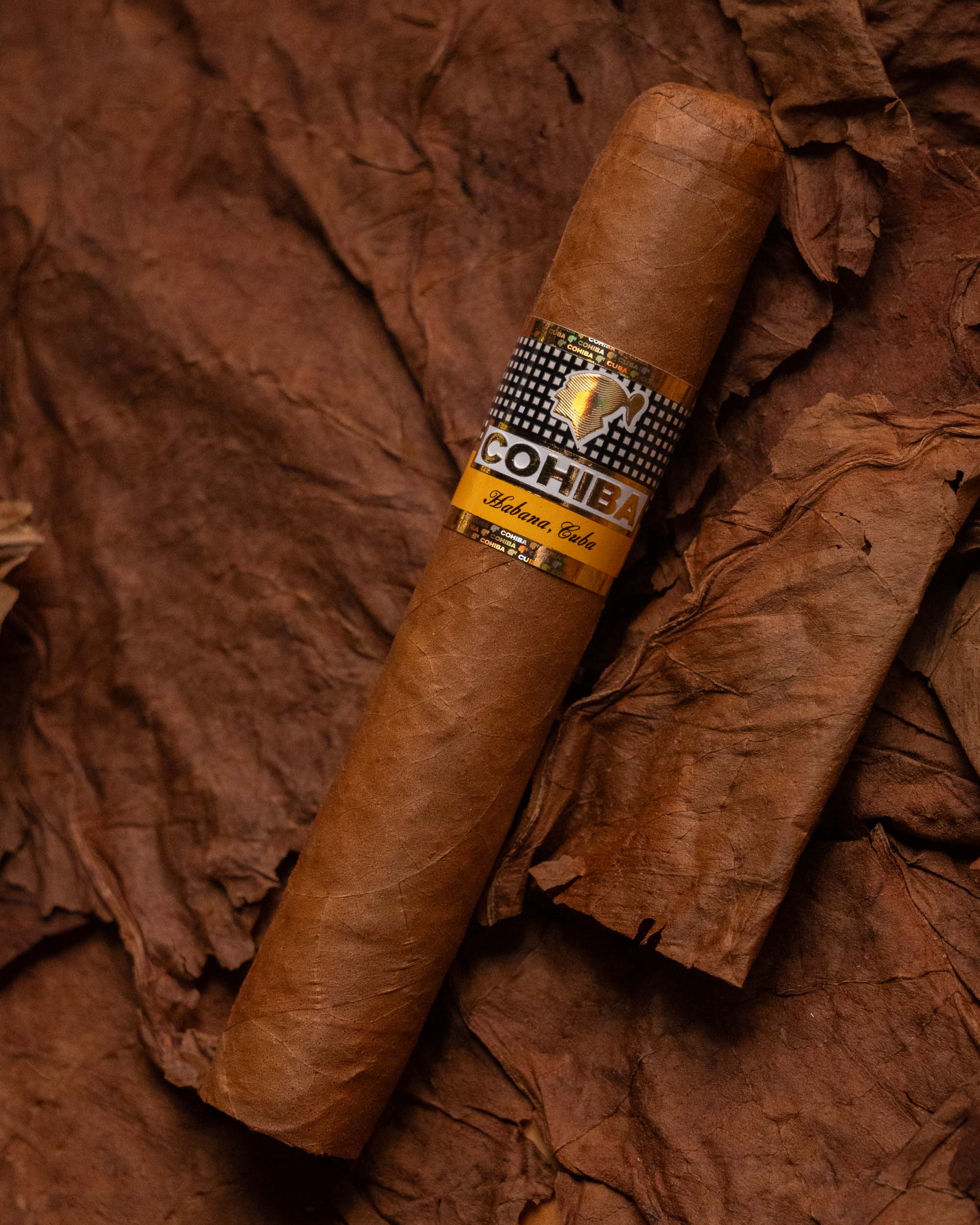 Cohiba Robustos (2019 Vintage) - nextCIGAR