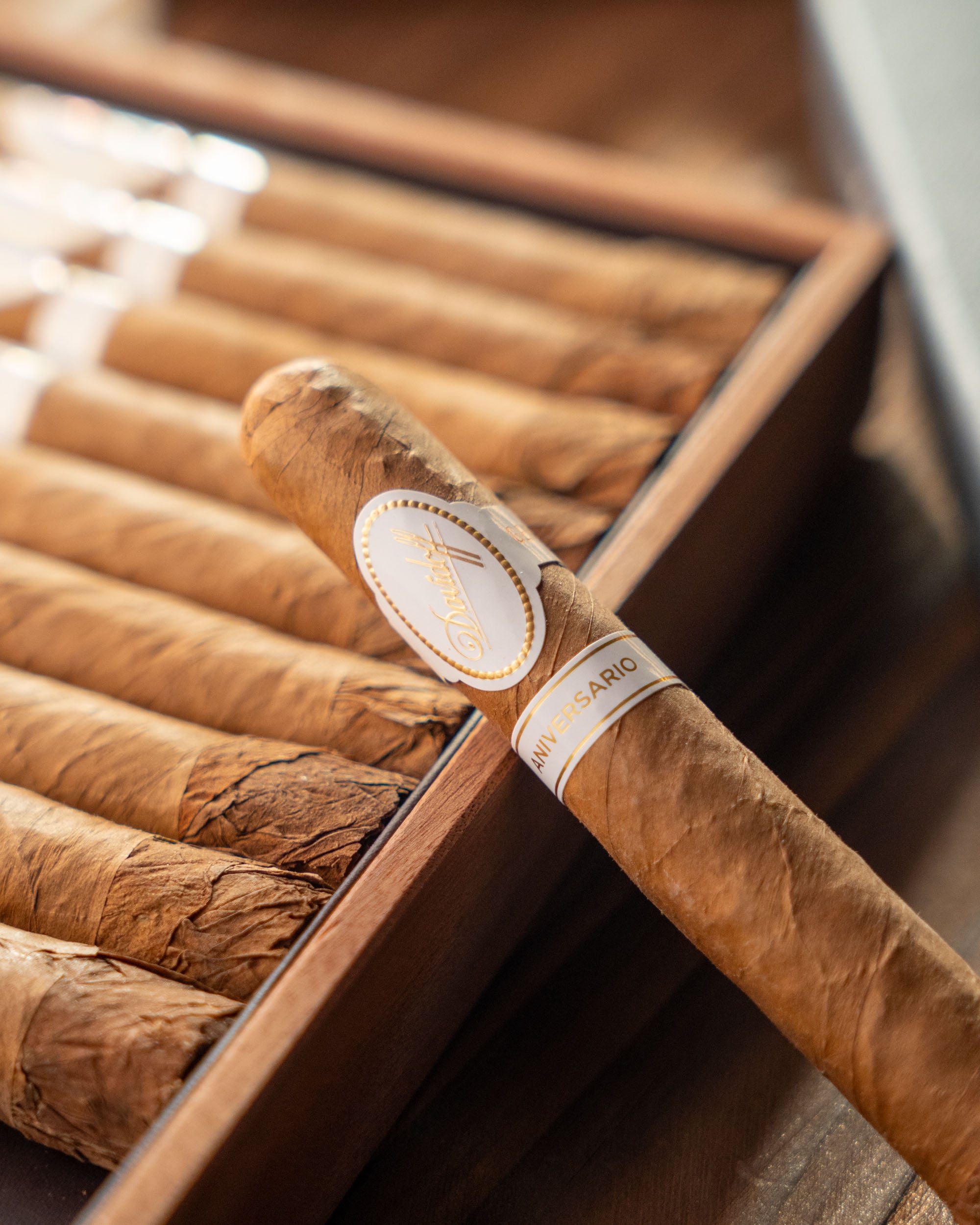 Davidoff Aniversario Special R Cigar Bundle (Uncut) - nextCIGAR