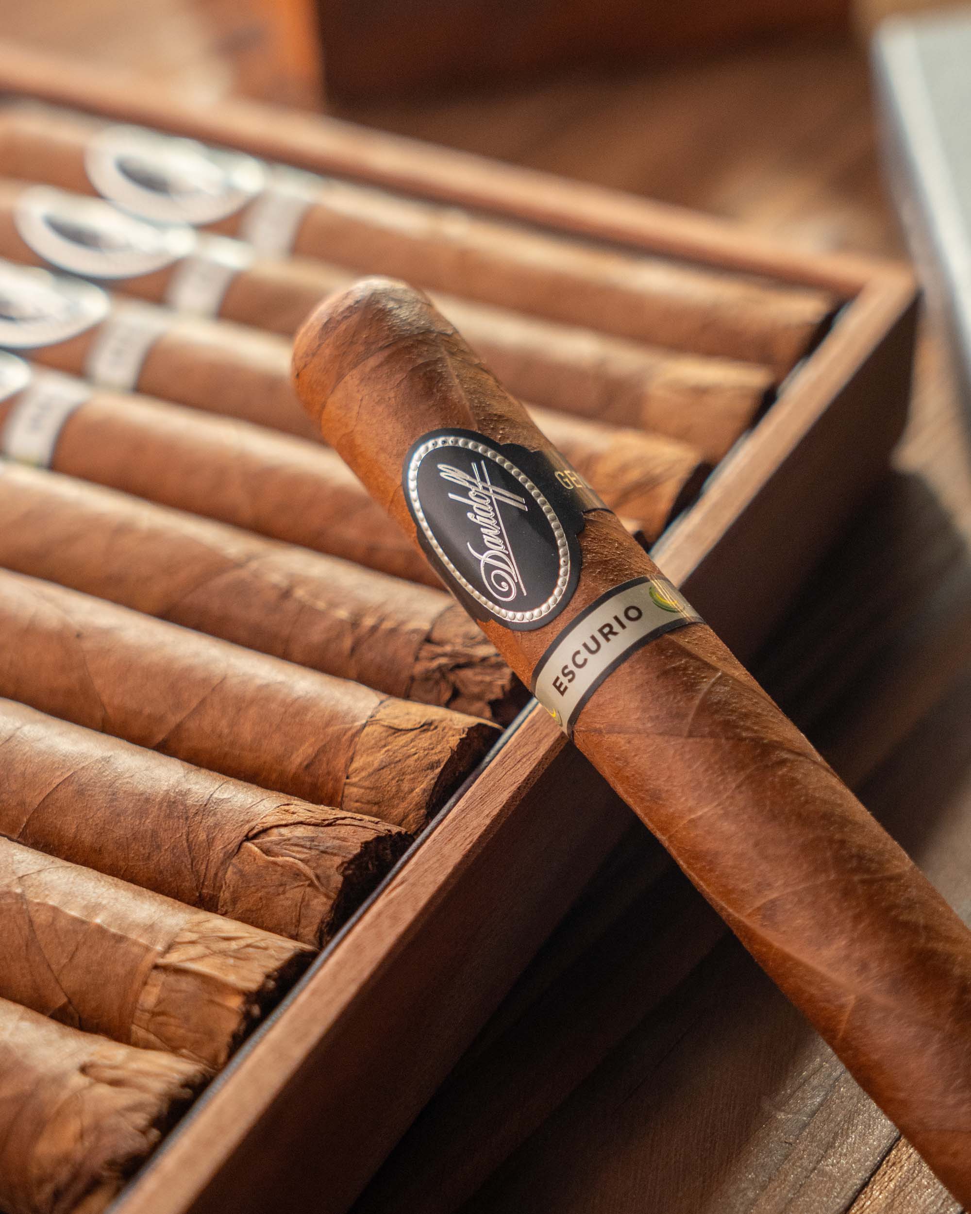 Davidoff Escurio Gran Toro Cigar Bundle (Uncut) - nextCIGAR
