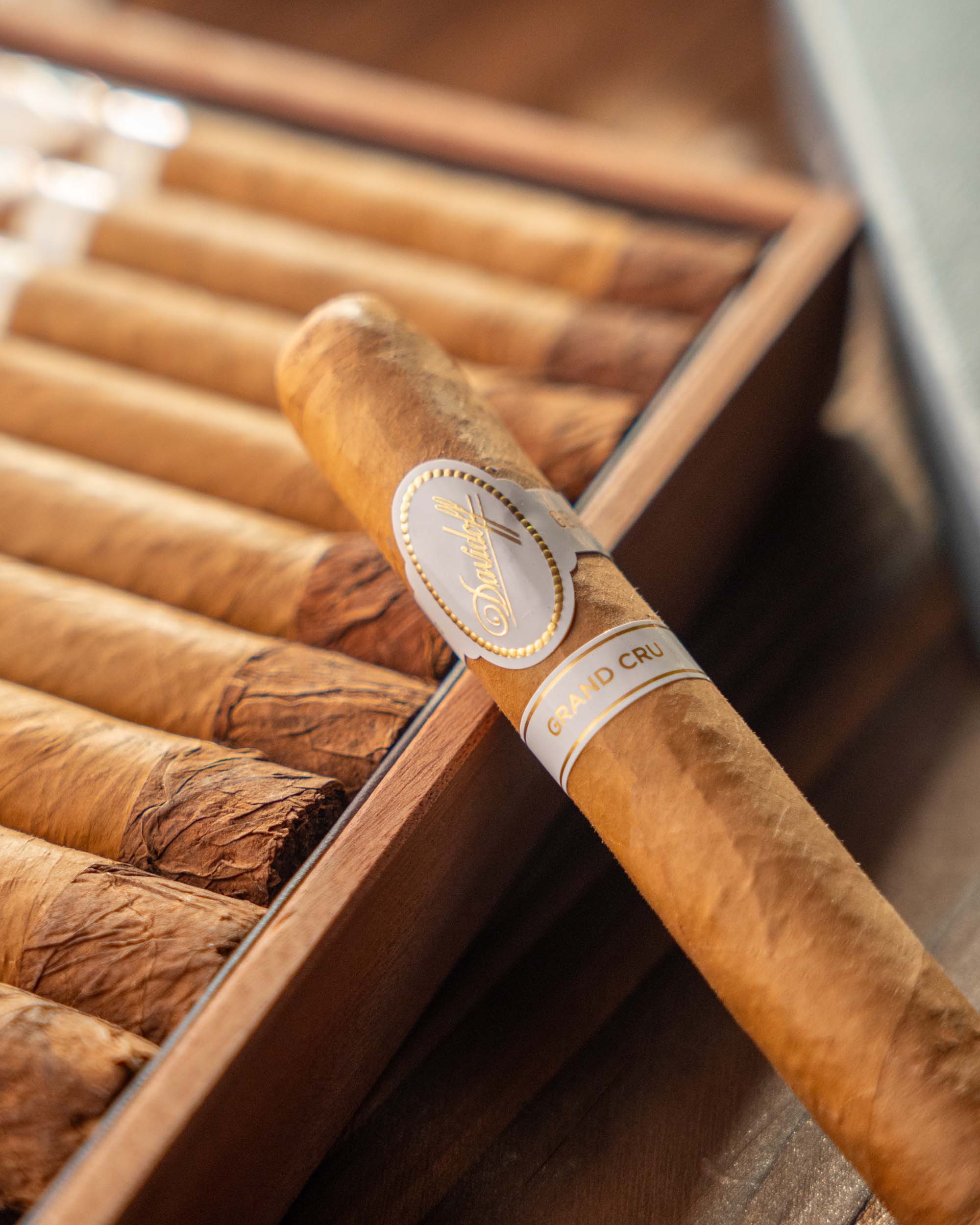 Davidoff Grand Cru Robusto Cigar Bundle (Uncut) - nextCIGAR