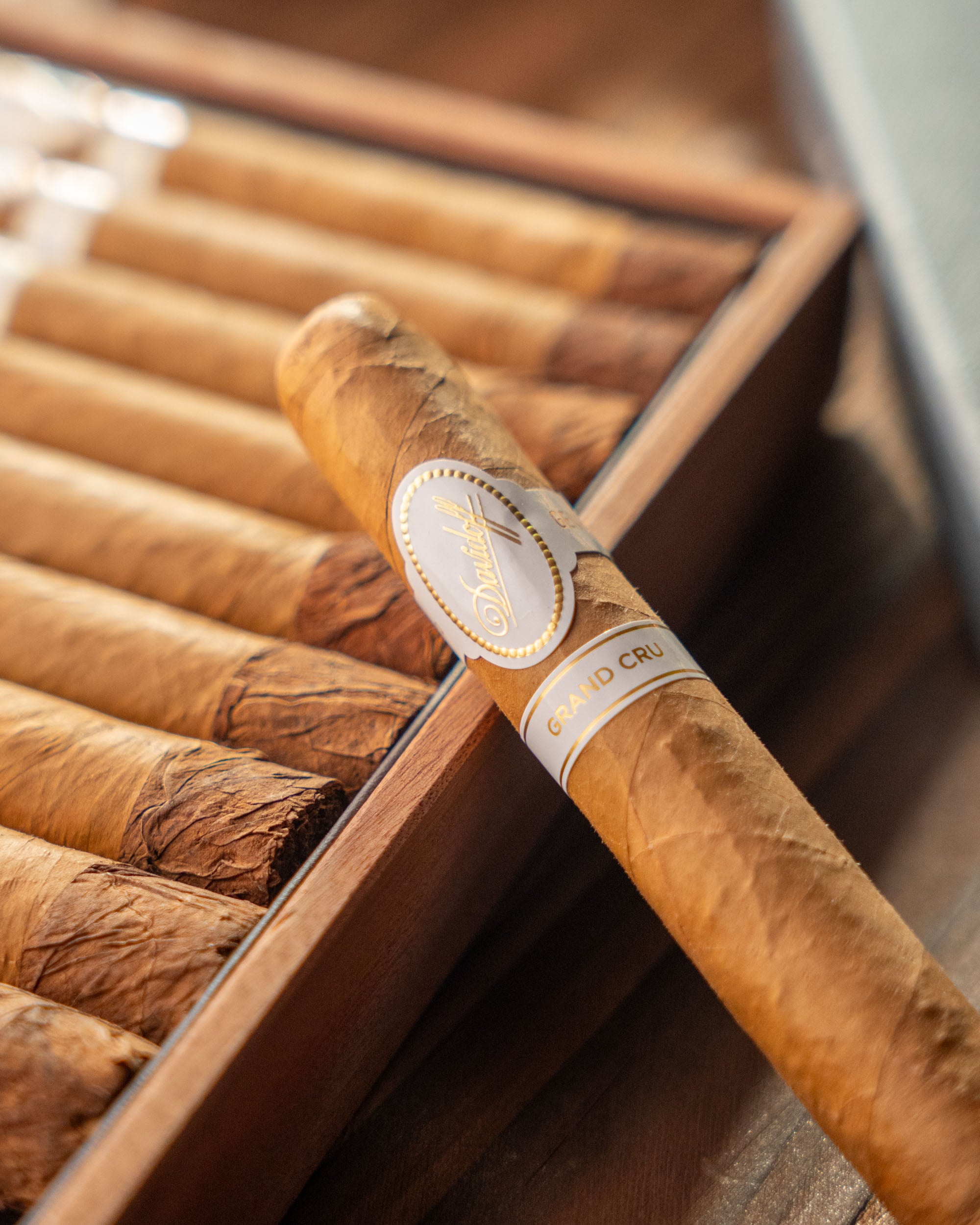 Davidoff Grand Cru Robusto Cigar Bundle (Uncut) - nextCIGAR