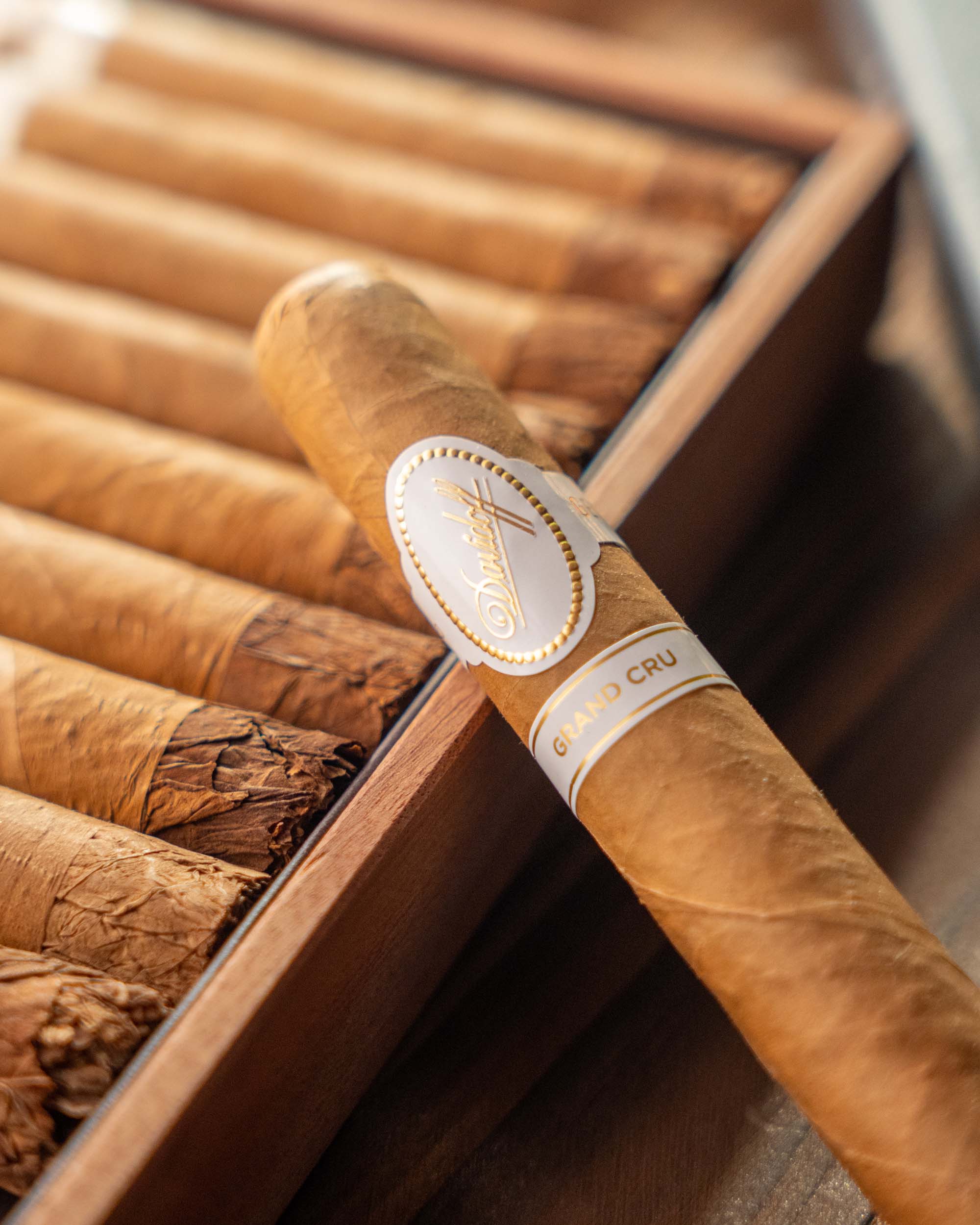 Davidoff Grand Cru Toro Cigar Bundle (Uncut) - nextCIGAR