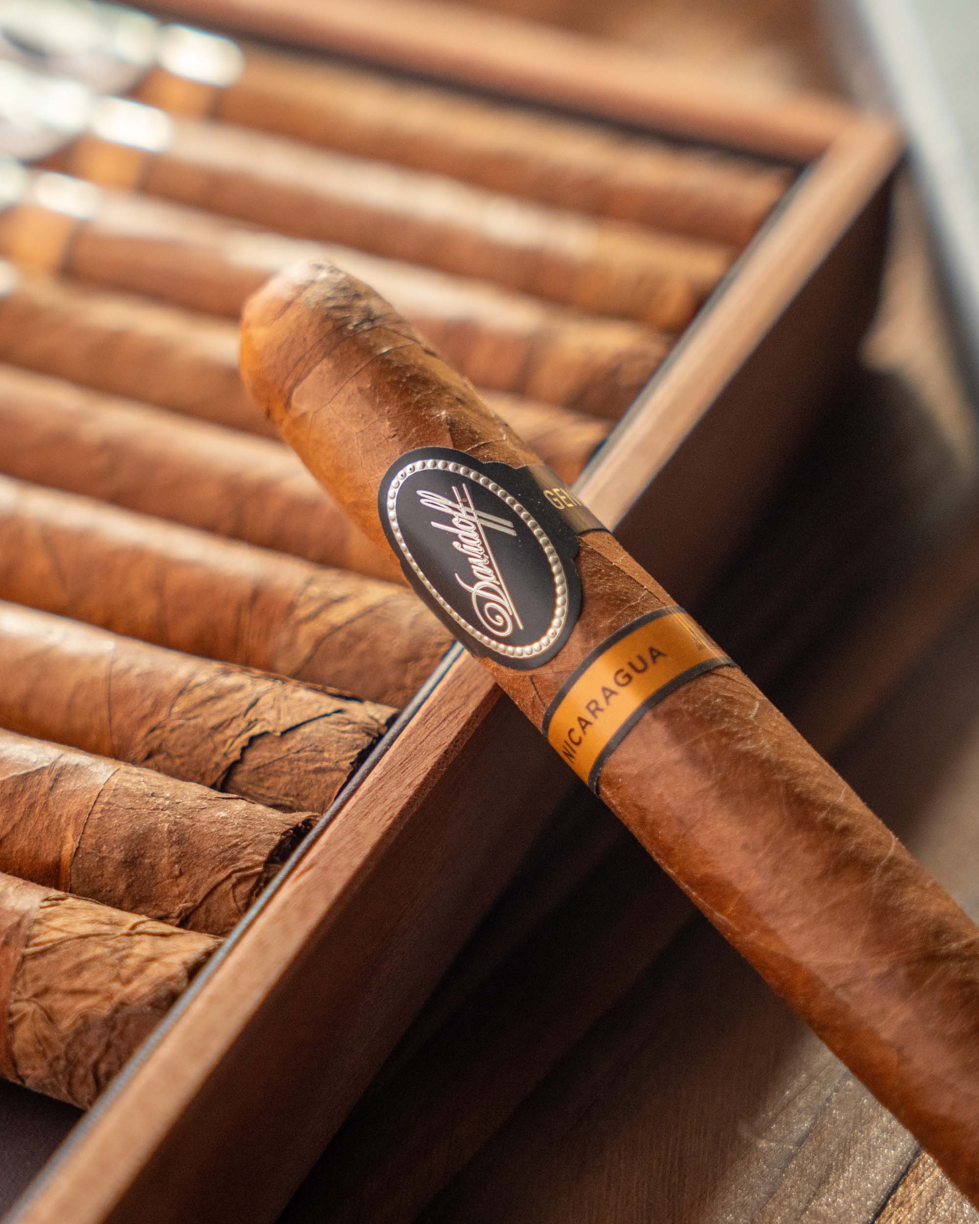 Davidoff Nicaragua Robusto Cigar Bundle (Uncut) - nextCIGAR