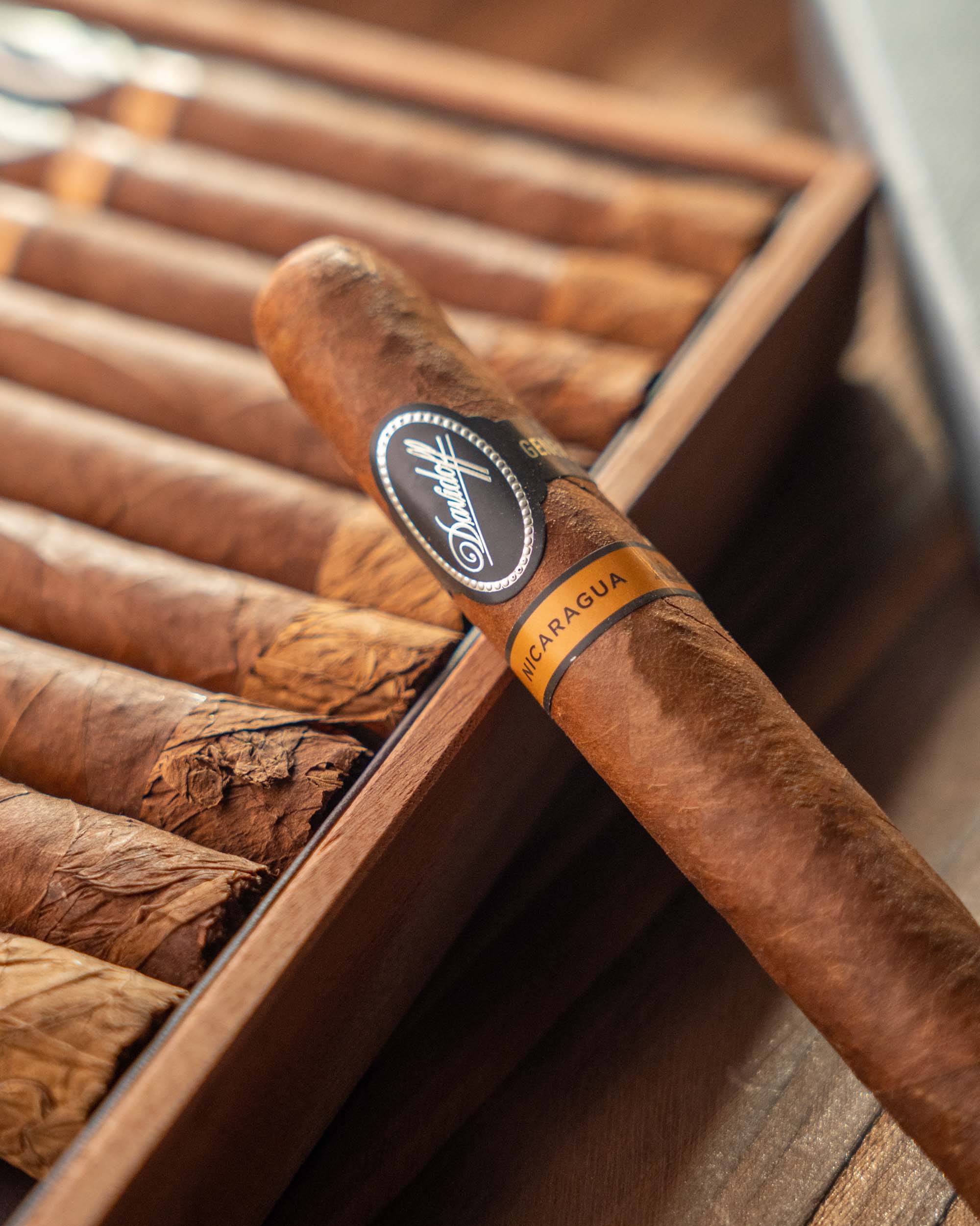 Davidoff Nicaragua Toro Cigar Bundle (Uncut) - nextCIGAR
