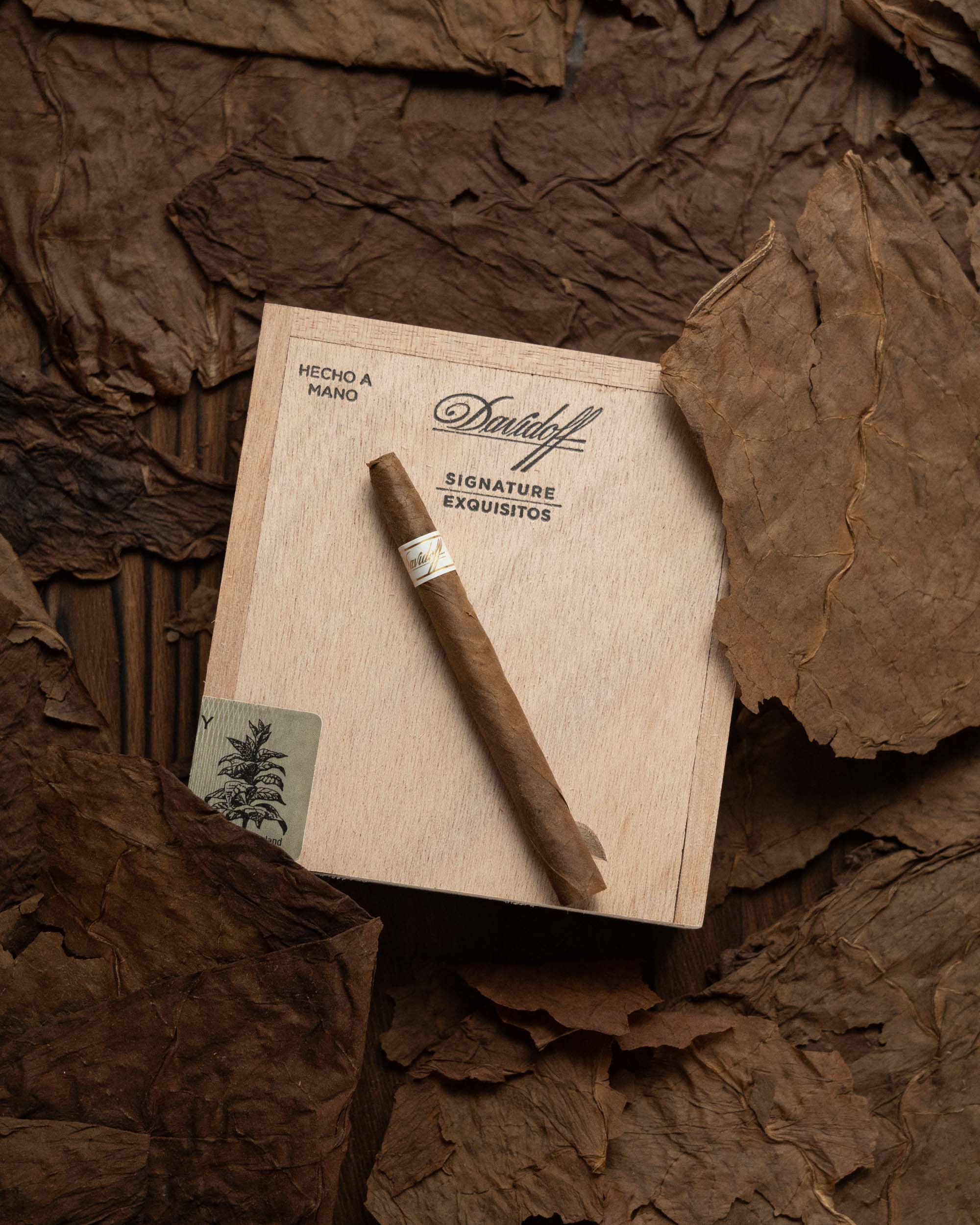 Davidoff Signature Exquisitos - nextCIGAR