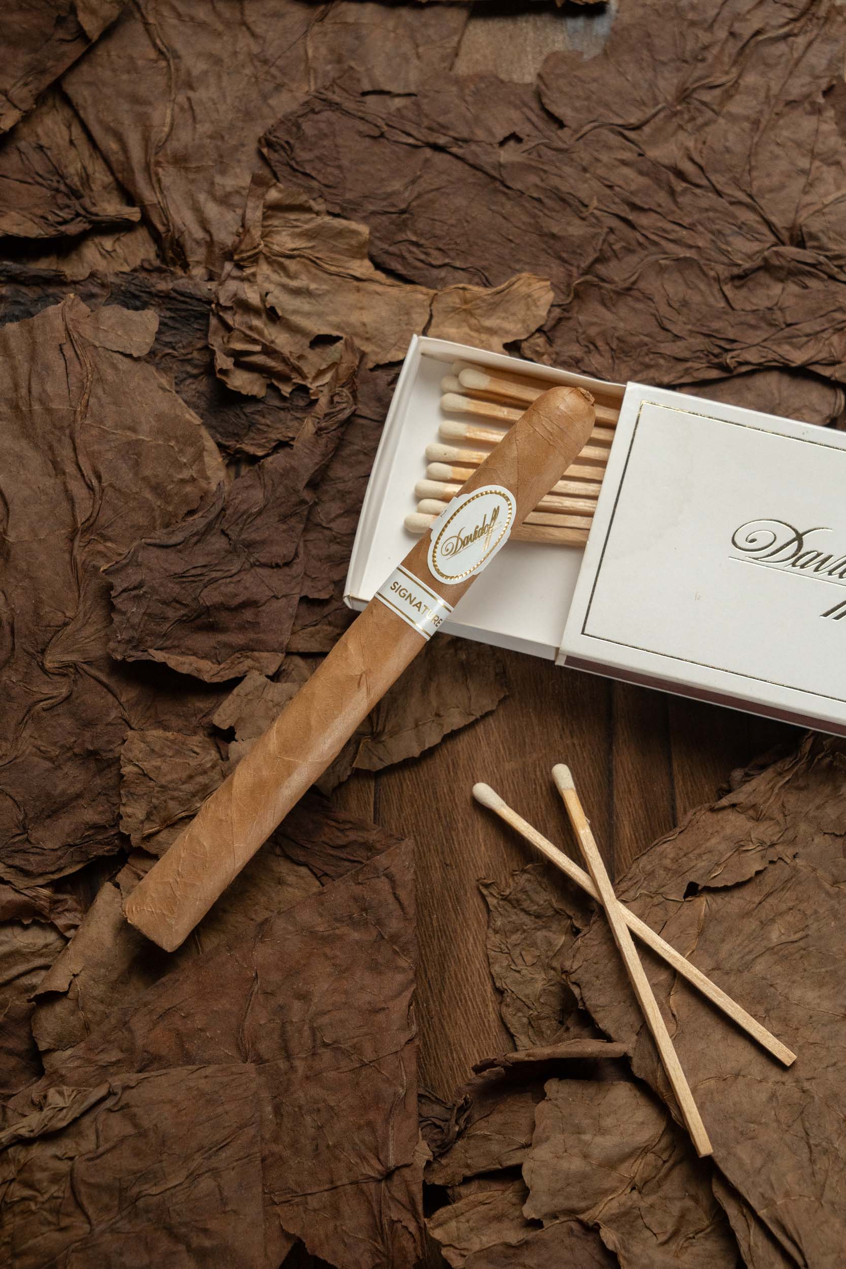 Davidoff Signature No. 2 - nextCIGAR
