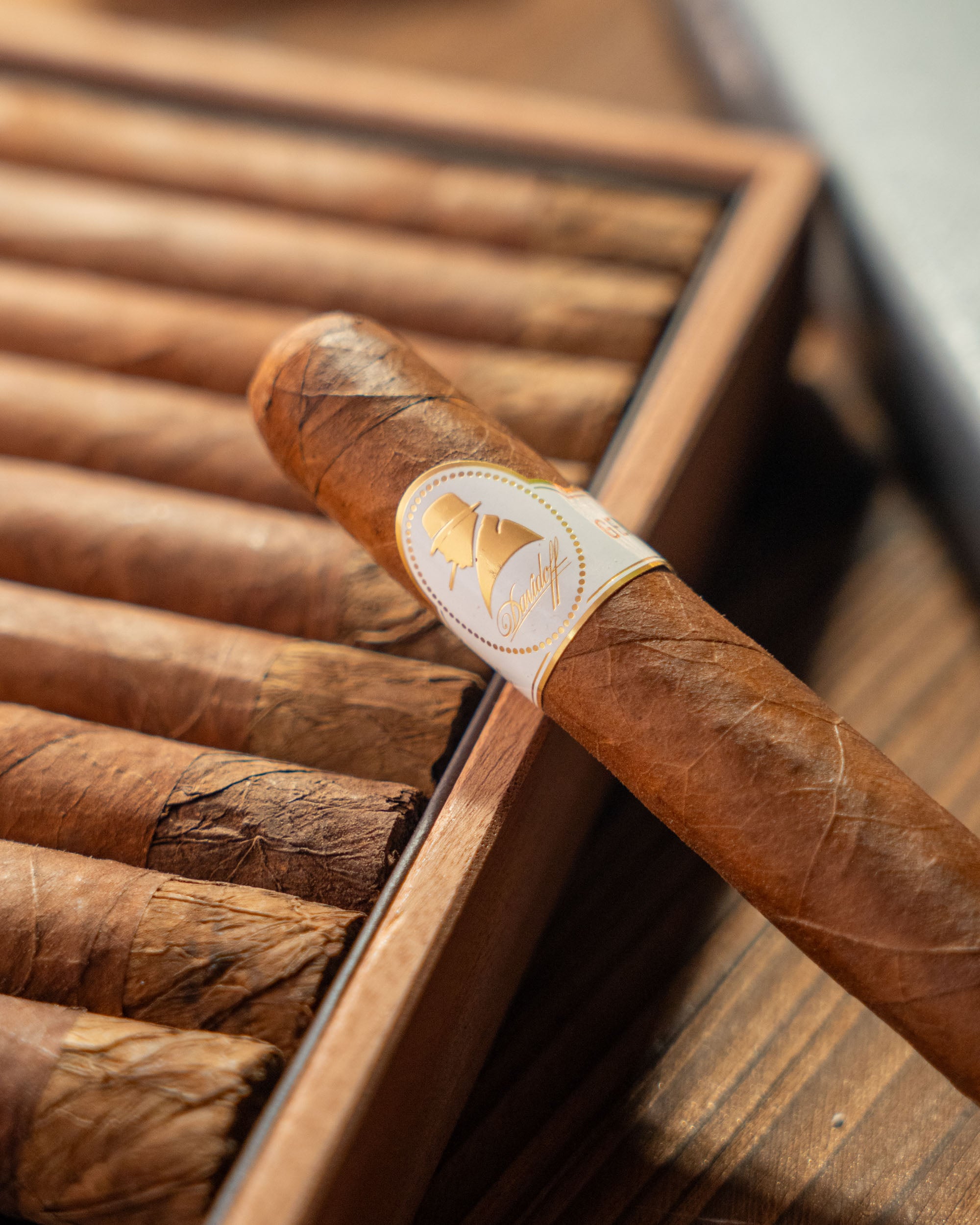 Davidoff Winston Churchill "The Original Series" Toro Cigar Bundle (Uncut) - nextCIGAR