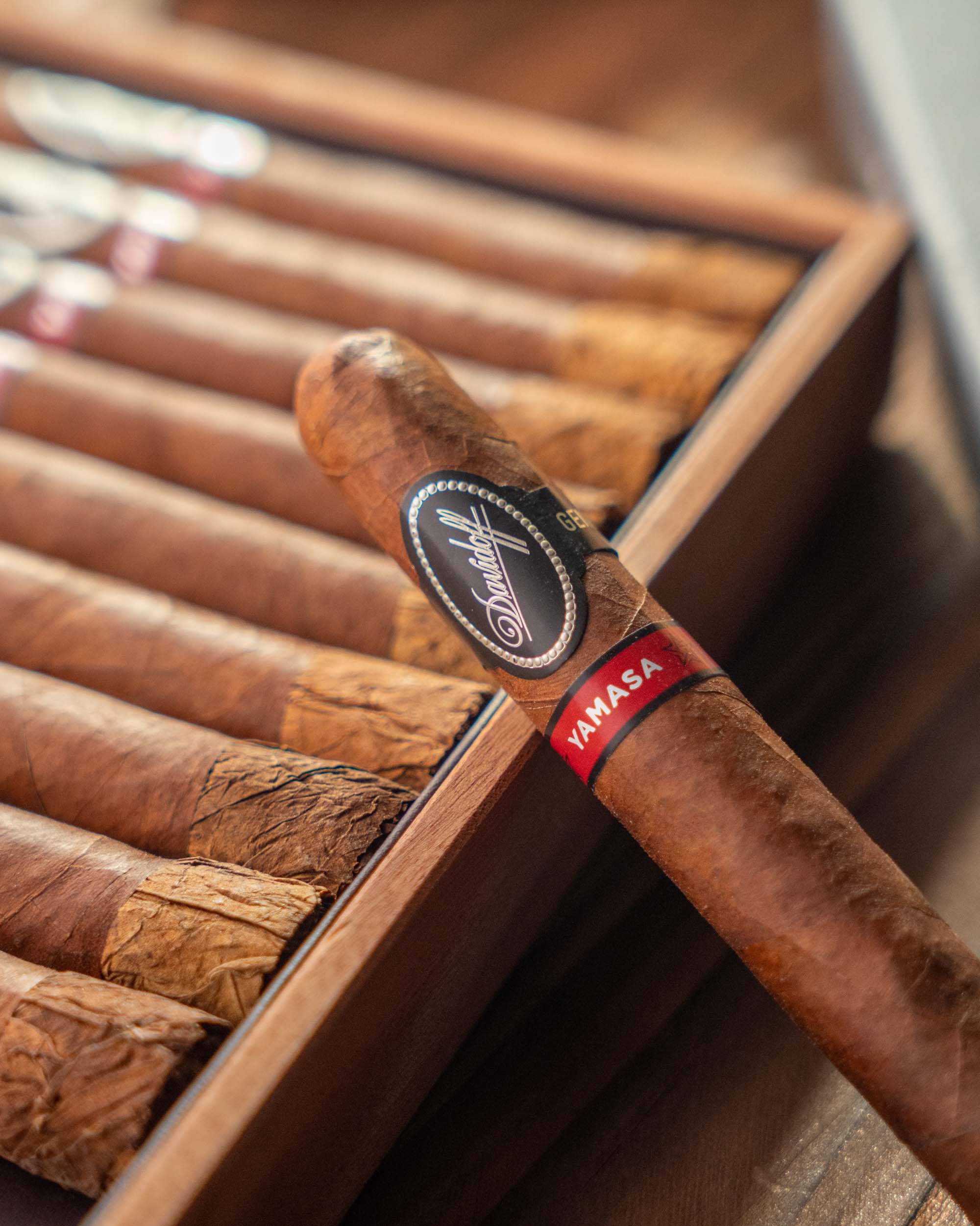 Davidoff Yamasá Robusto Extra Cigar Bundle (Uncut) - nextCIGAR