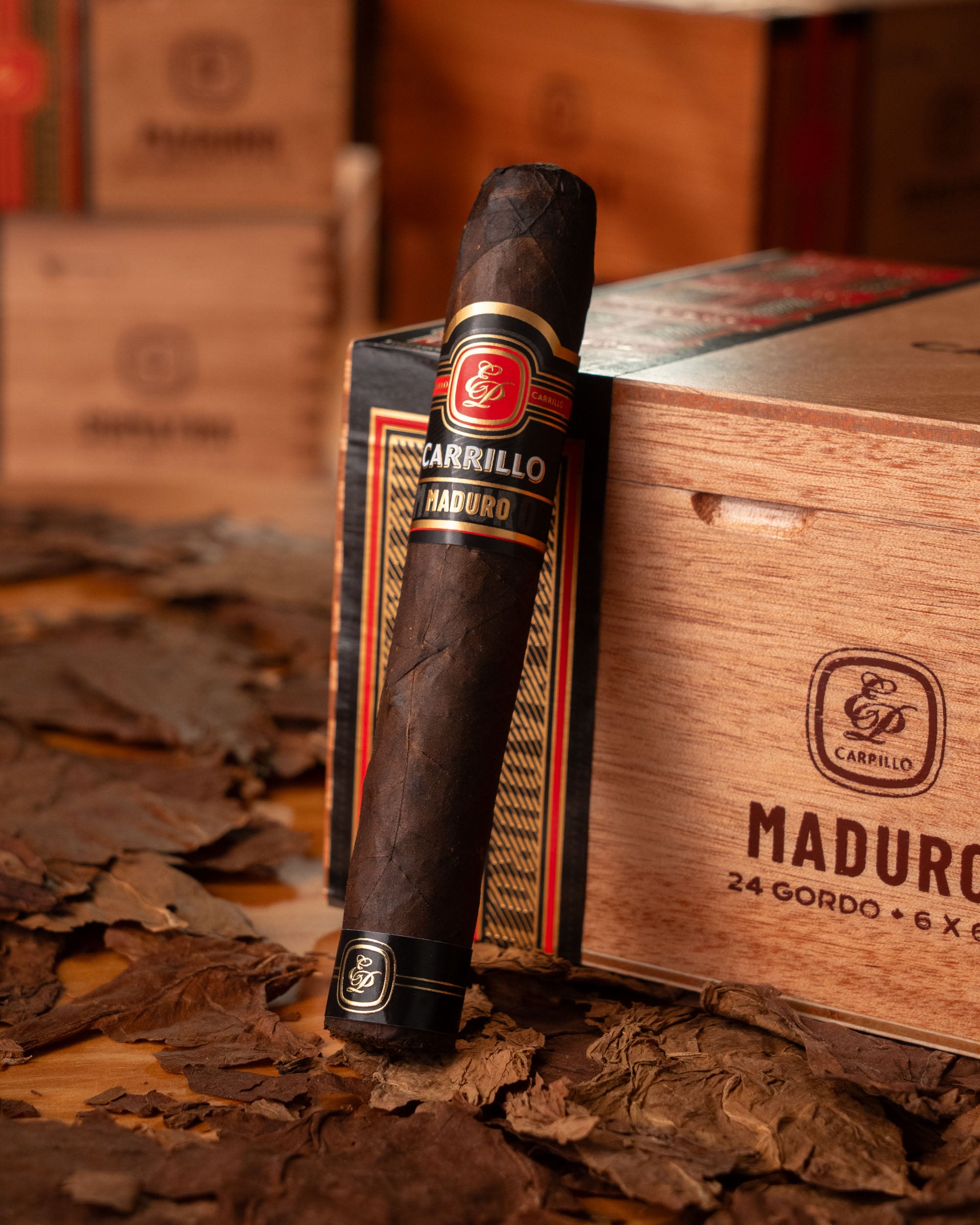 E.P. Carrillo Essence Series 2024 Maduro Gordo - nextCIGAR