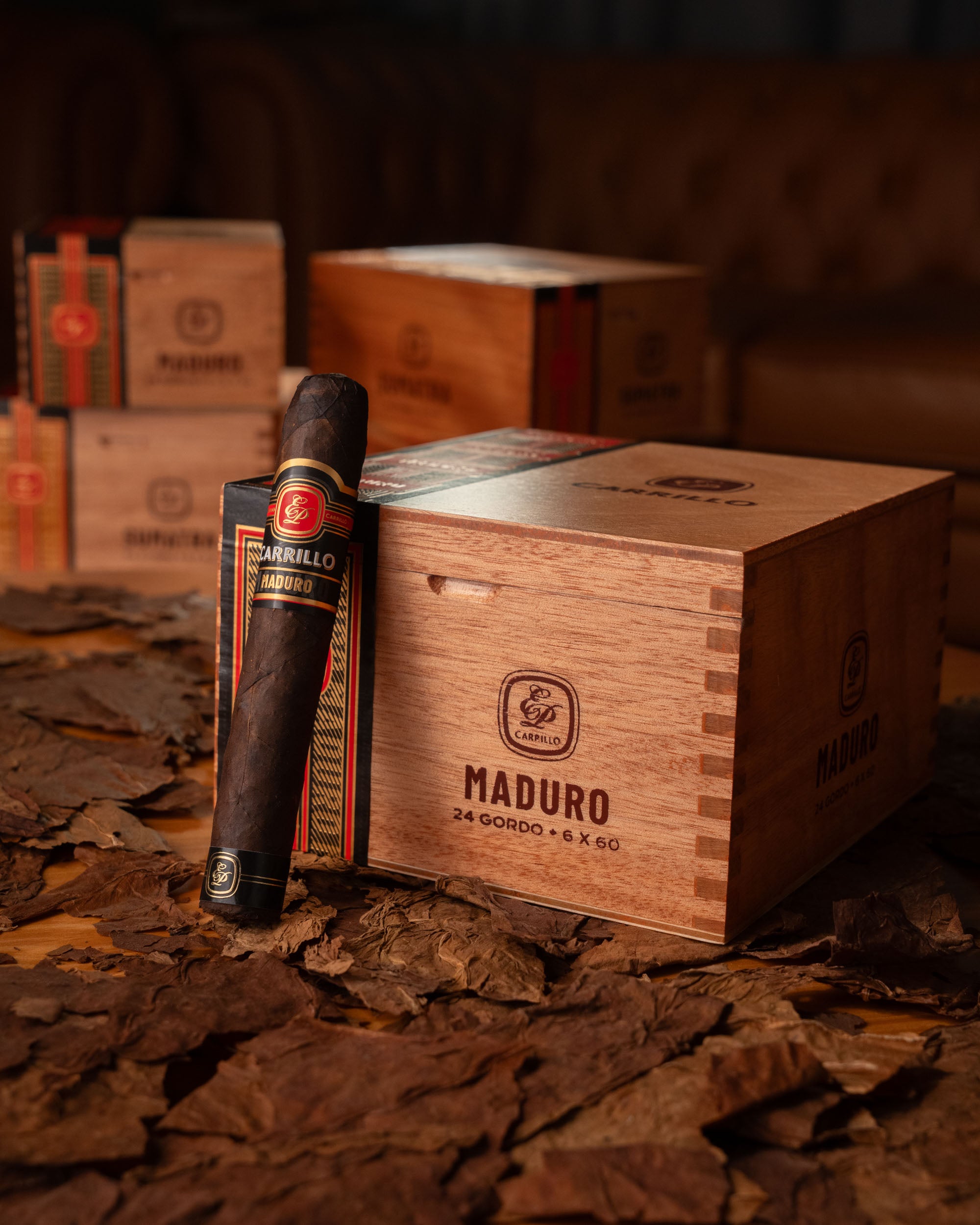 E.P. Carrillo Essence Series 2024 Maduro Gordo - nextCIGAR