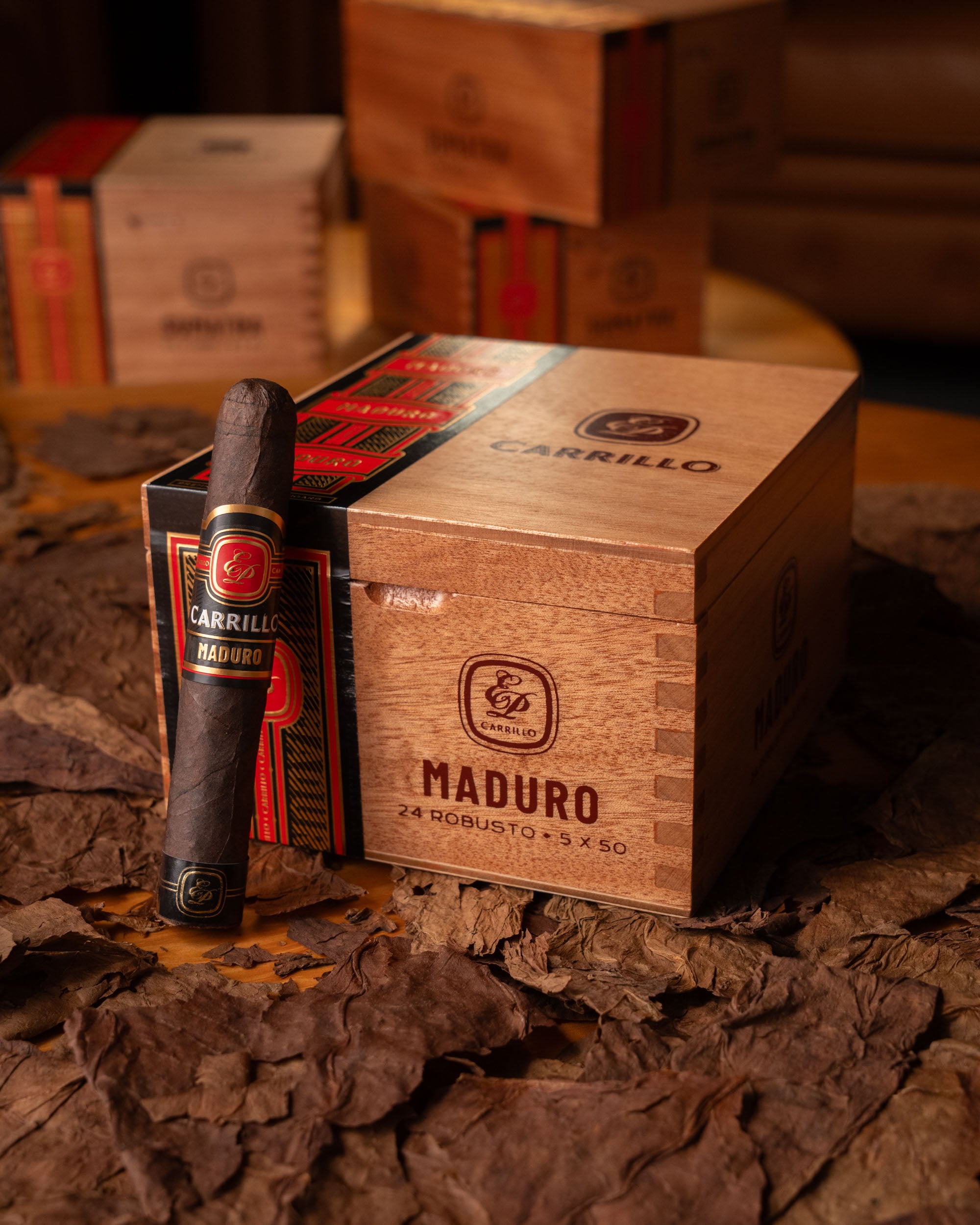 E.P. Carrillo Essence Series 2024 Maduro Robusto - nextCIGAR