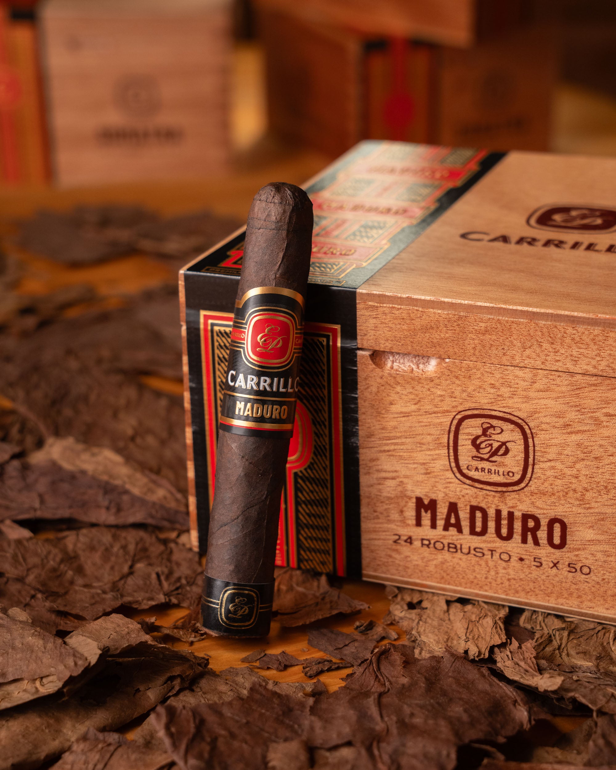 E.P. Carrillo Essence Series 2024 Maduro Robusto - nextCIGAR