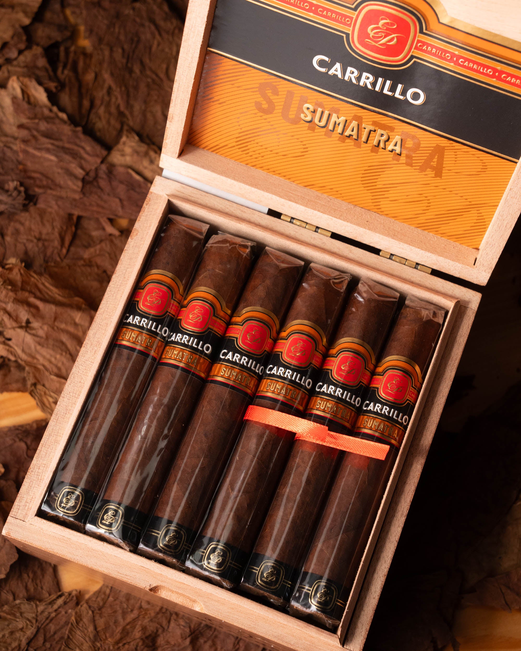E.P. Carrillo Essence Series Sumatra Gordo - nextCIGAR