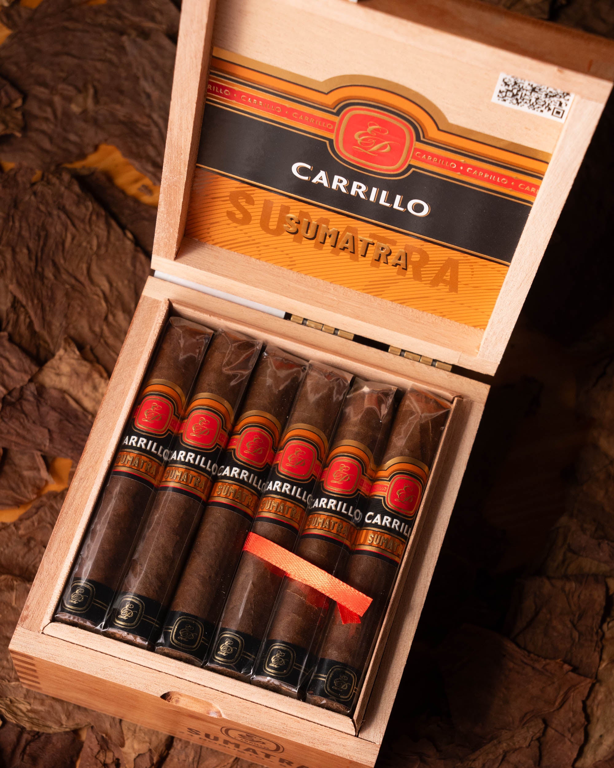 E.P. Carrillo Essence Series Sumatra Robusto - nextCIGAR