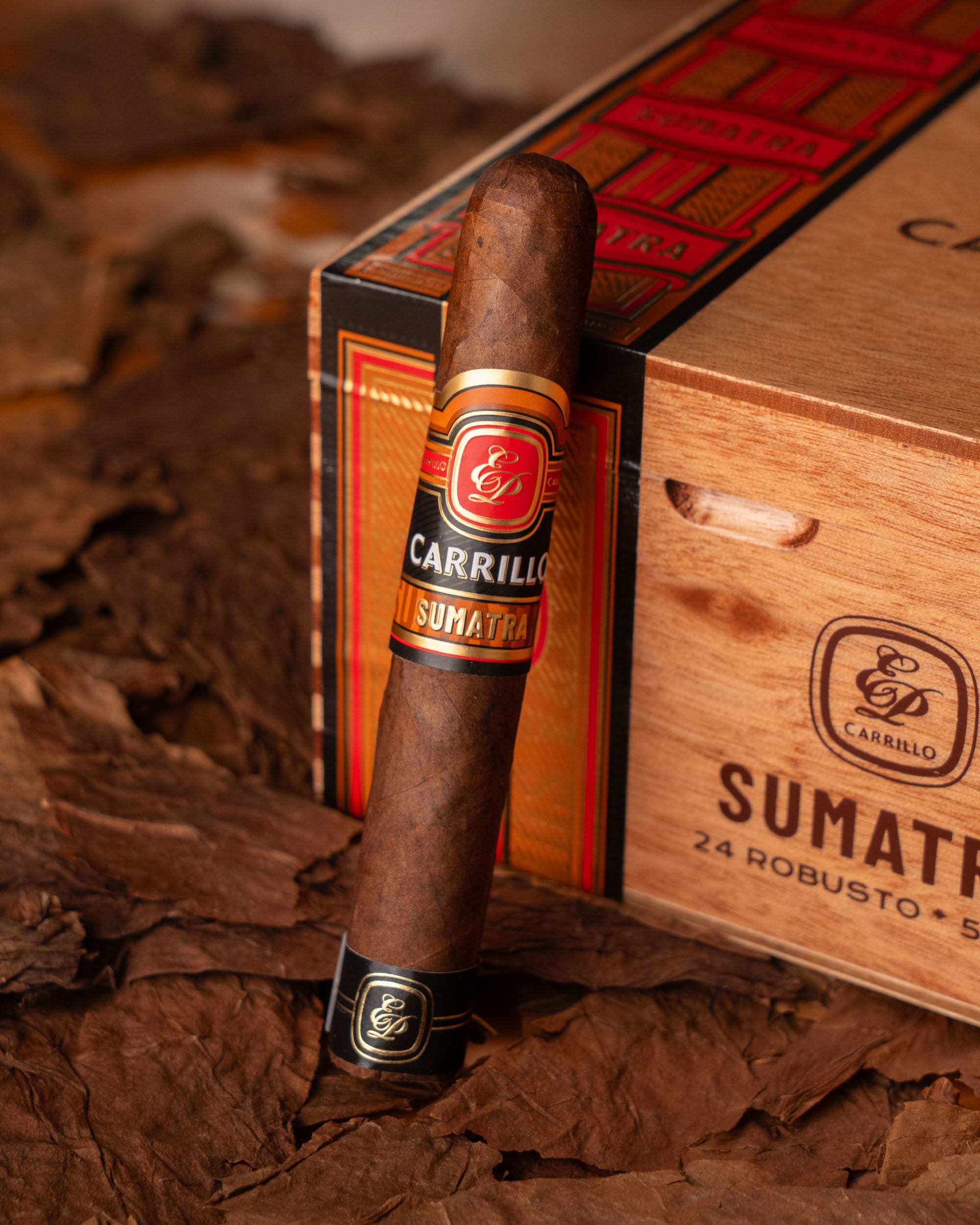E.P. Carrillo Essence Series Sumatra Robusto - nextCIGAR