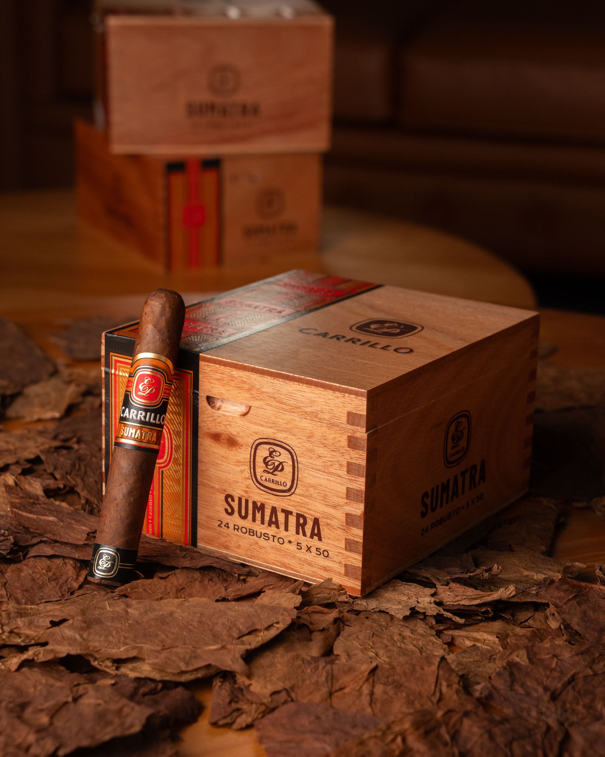 E.P. Carrillo Essence Series Sumatra Robusto - nextCIGAR