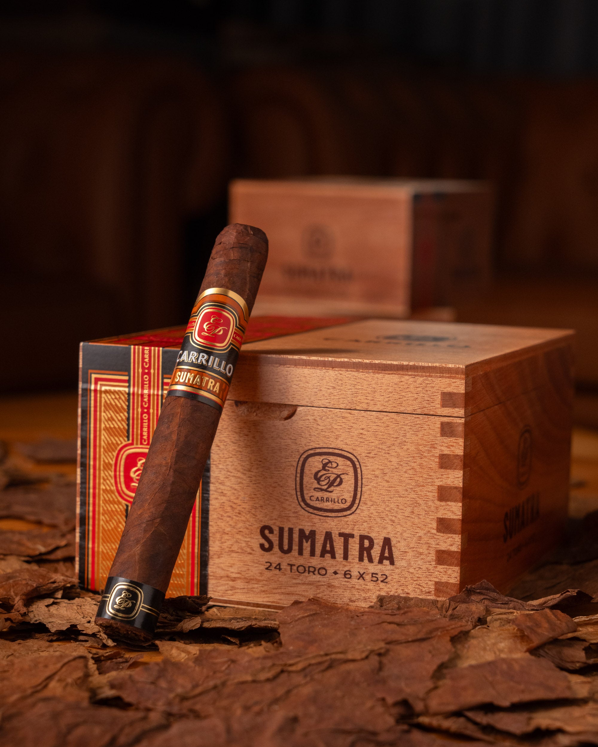 E.P. Carrillo Essence Series Sumatra Toro - nextCIGAR