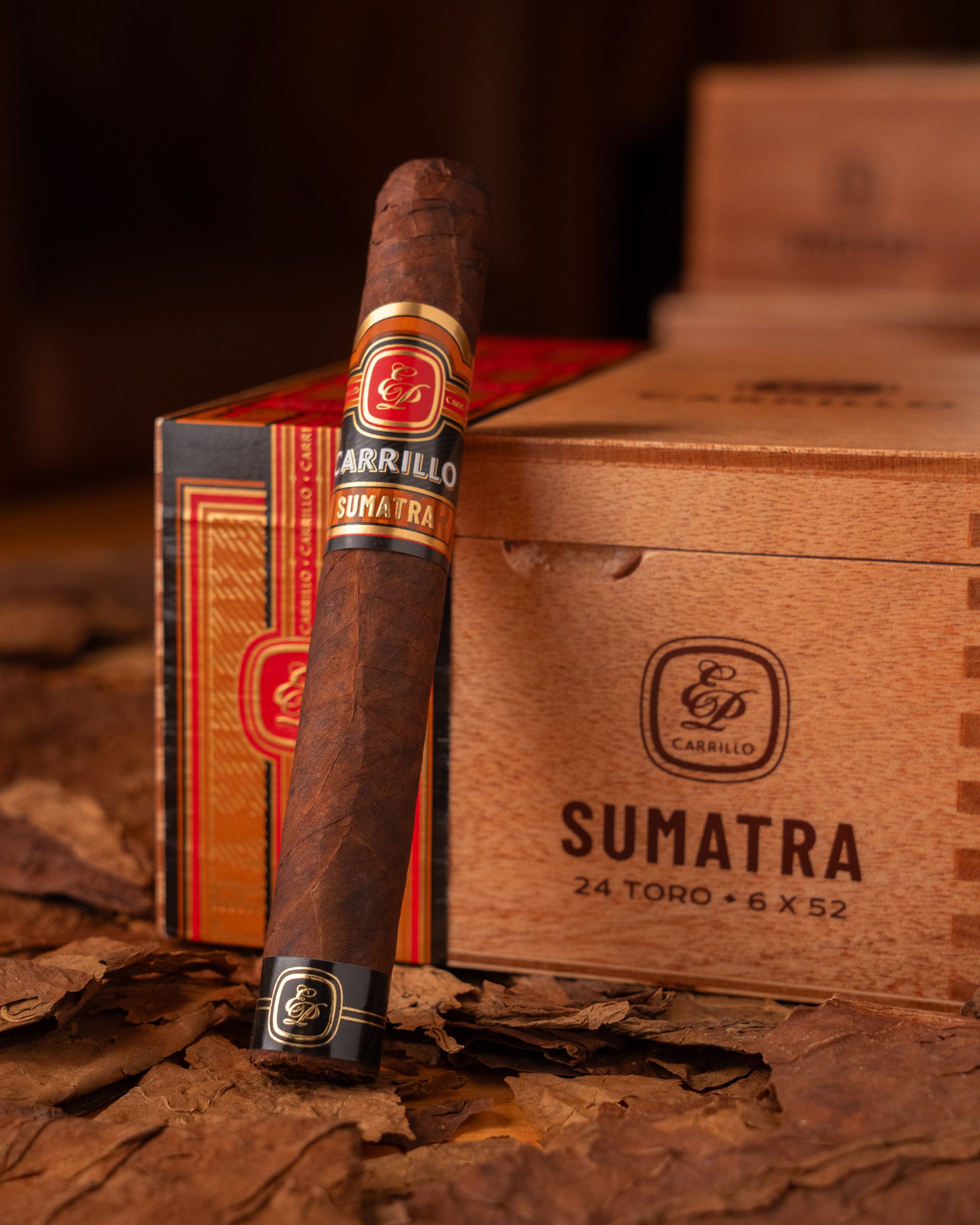 E.P. Carrillo Essence Series Sumatra Toro - nextCIGAR