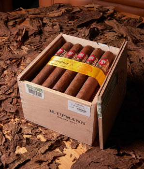 H. Upmann Connoisseur A (2015 Vintage)