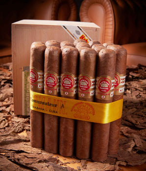 H. Upmann Connoisseur A (2015 Vintage)