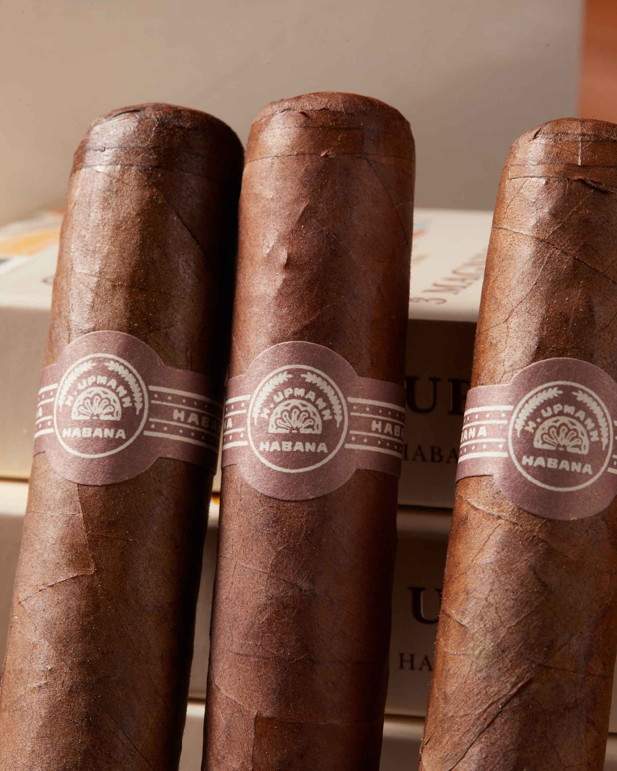 H. Upmann Magnum 46 Tubos (2005 Vintage)