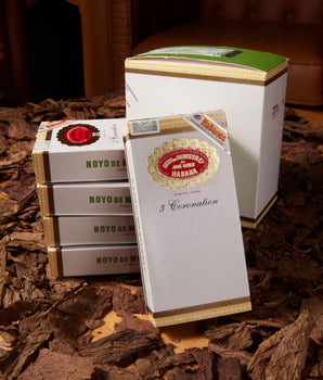 Hoyo de Monterrey Coronation (Tubos) (2013 Vintage)