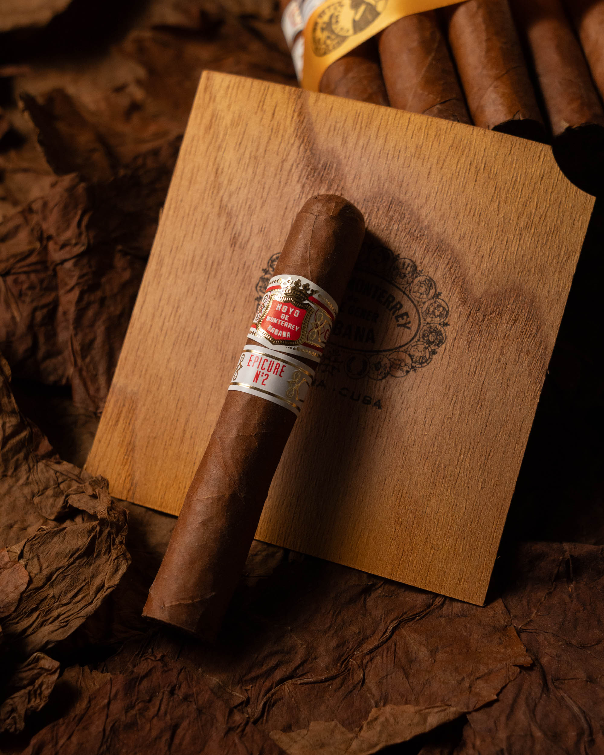 Hoyo de Monterrey Epicure No. 2 (2018 Vintage) - nextCIGAR