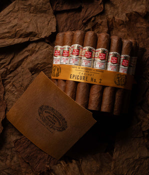 Hoyo de Monterrey Epicure No. 2 (2018 Vintage) - nextCIGAR