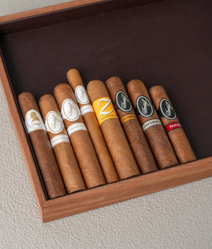 Davidoff Travel Humidor Tasting Gift set (8 Cigars) (Separated Shipment) - nextCIGAR
