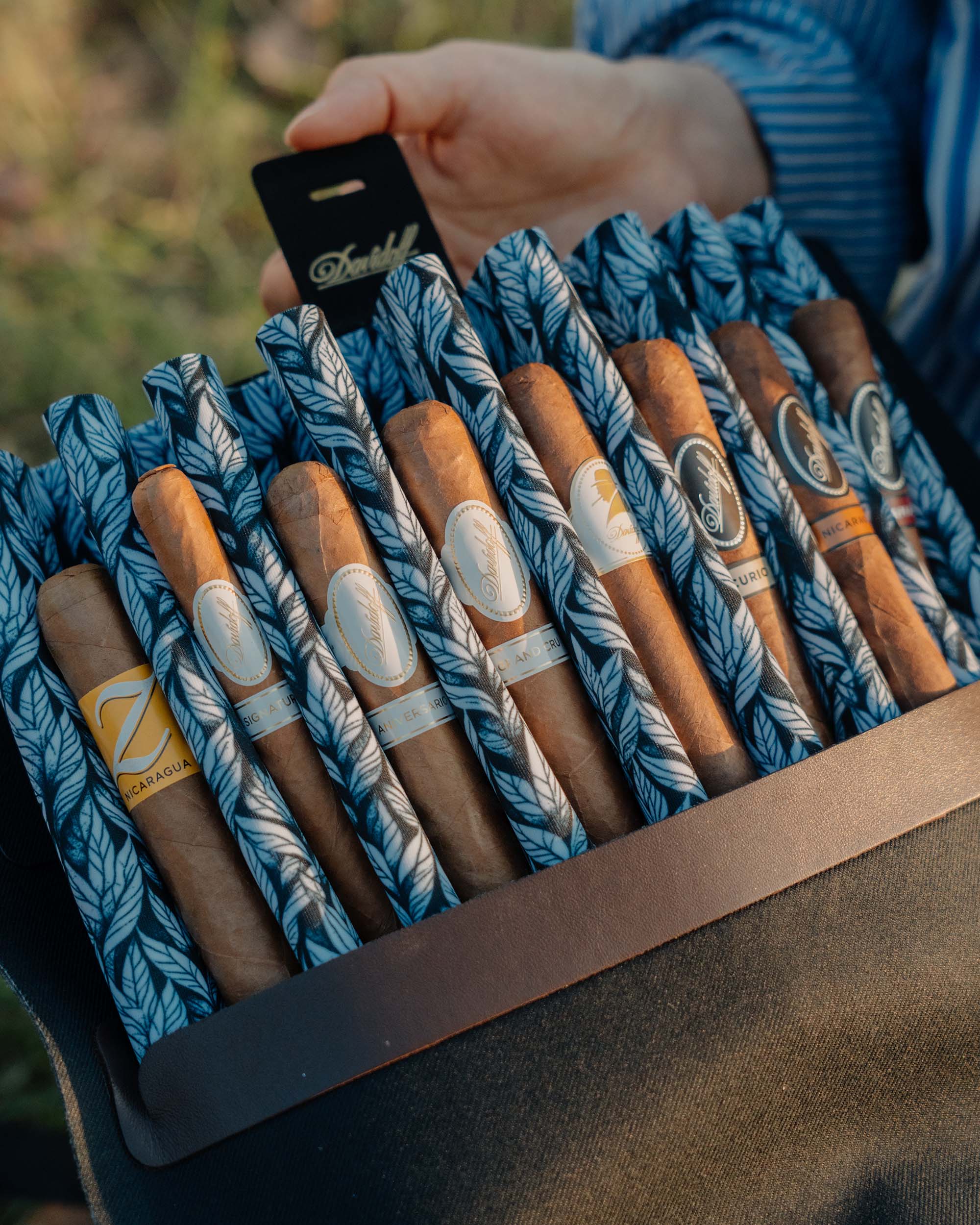 Davidoff Travel Humidor Tasting Gift set (8 Cigars) (Separated Shipment) - nextCIGAR