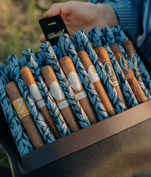 Davidoff Travel Humidor Tasting Gift set (8 Cigars) (Separated Shipment) - nextCIGAR