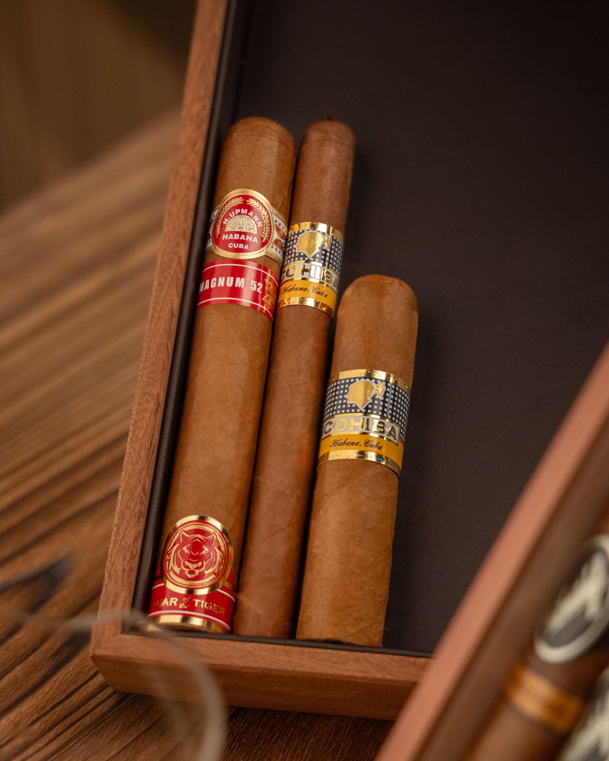The Global Explorer's Selection - nextCIGAR