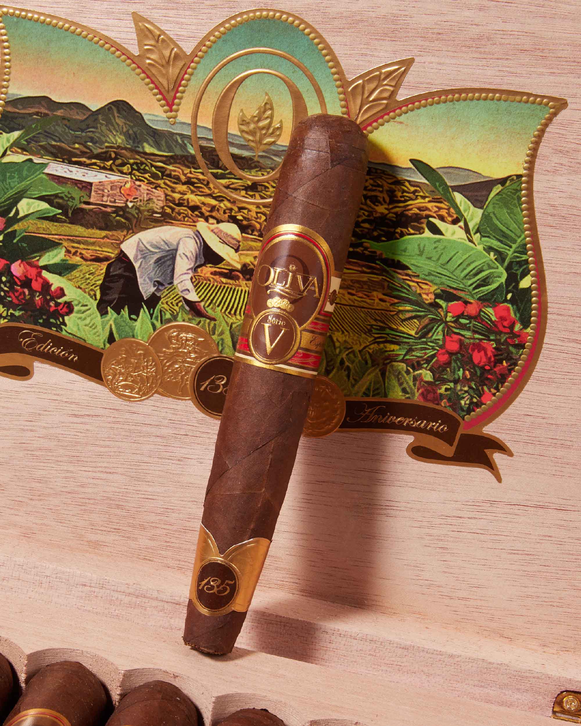 Oliva Serie V 135th Anniversary Edición Limitada