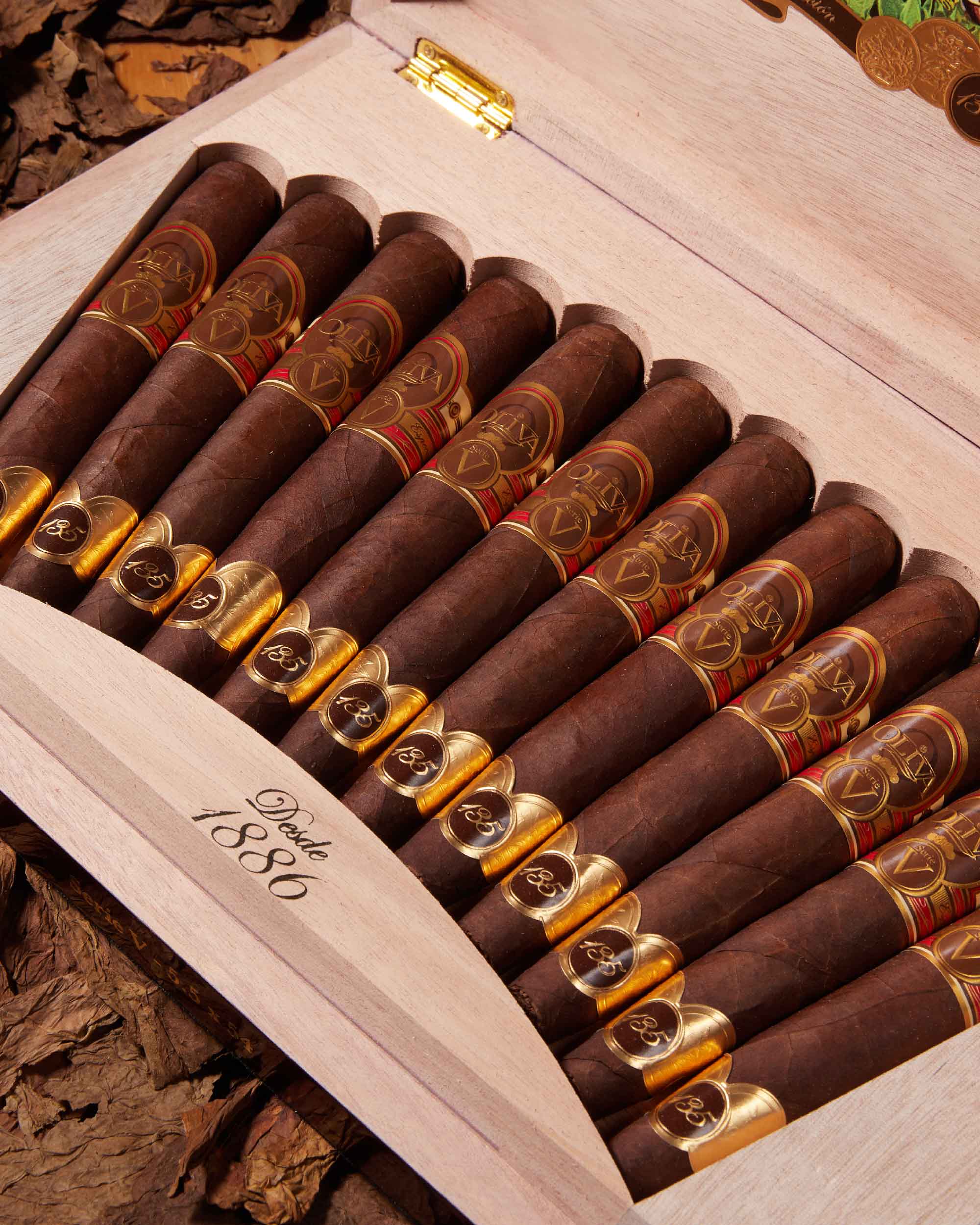 Oliva Serie V 135th Anniversary Edición Limitada
